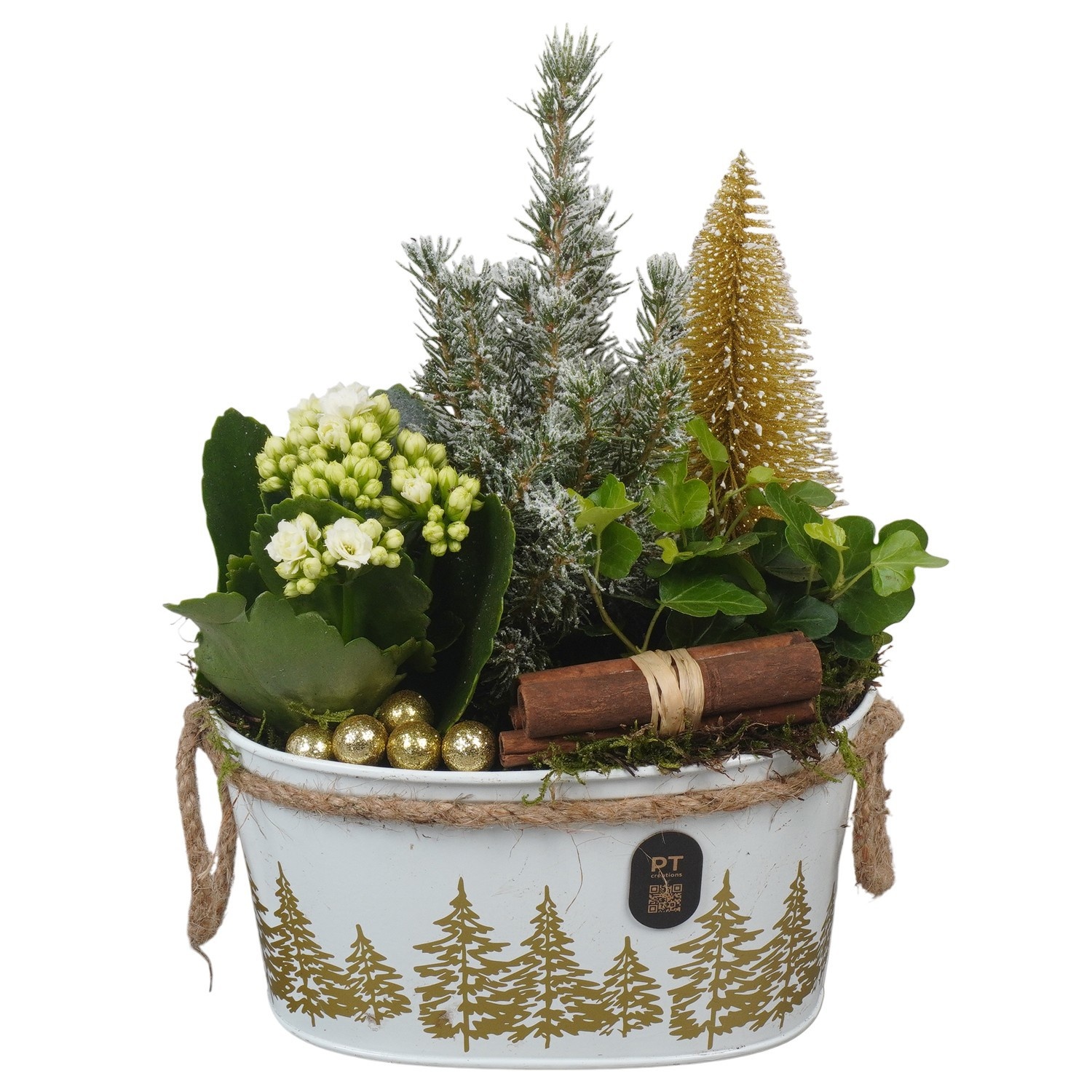 PTCHG4640 Arrangement Christmas Gold in metalen pot, D 18