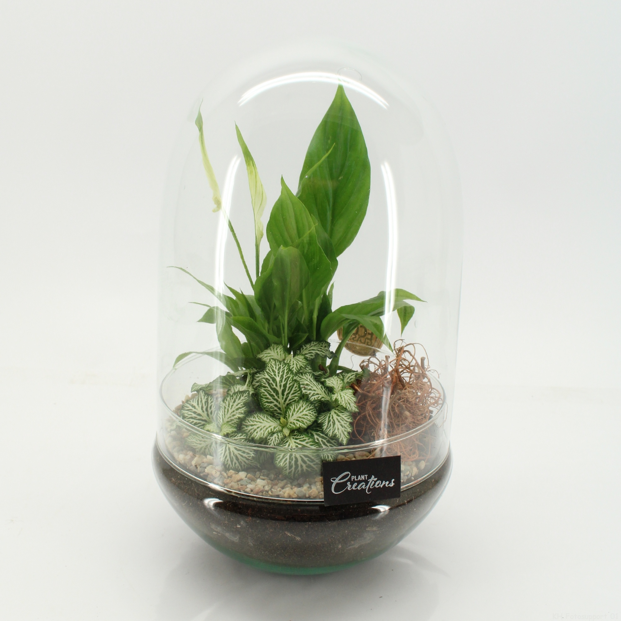 GRCR-2664 Green Essentials terrarium, D 17