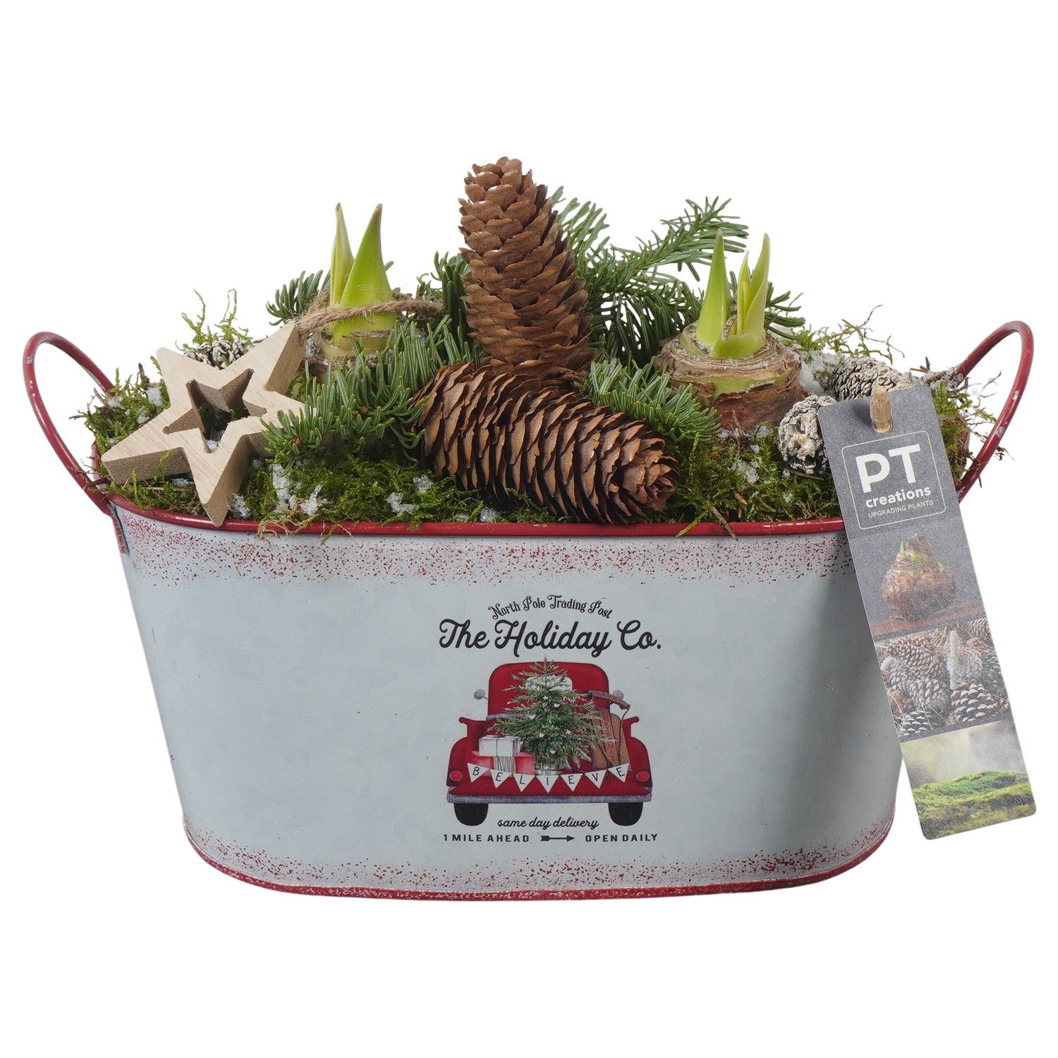 PTACH5856 Arrangement Amaryllis Christmas in metalen pot ovaal, D 23 cm