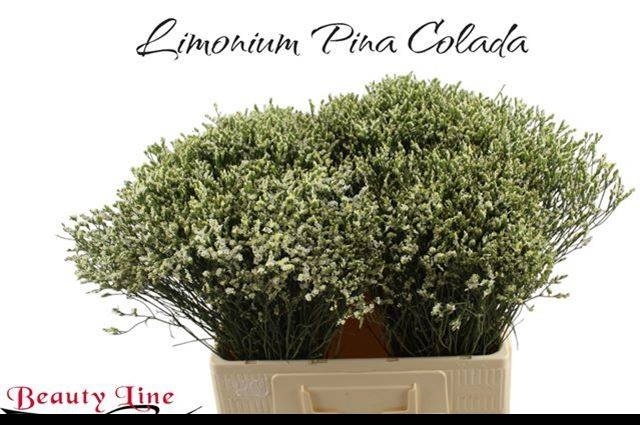 Лимониум Сенси Пина Колада 60, шт.