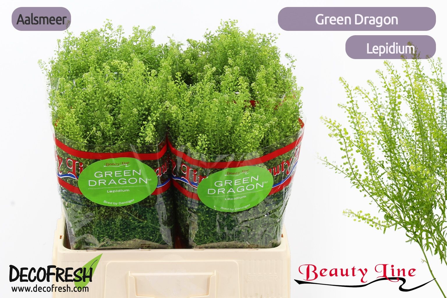 Тласпи Грин Драгон 60 (зел.), шт.