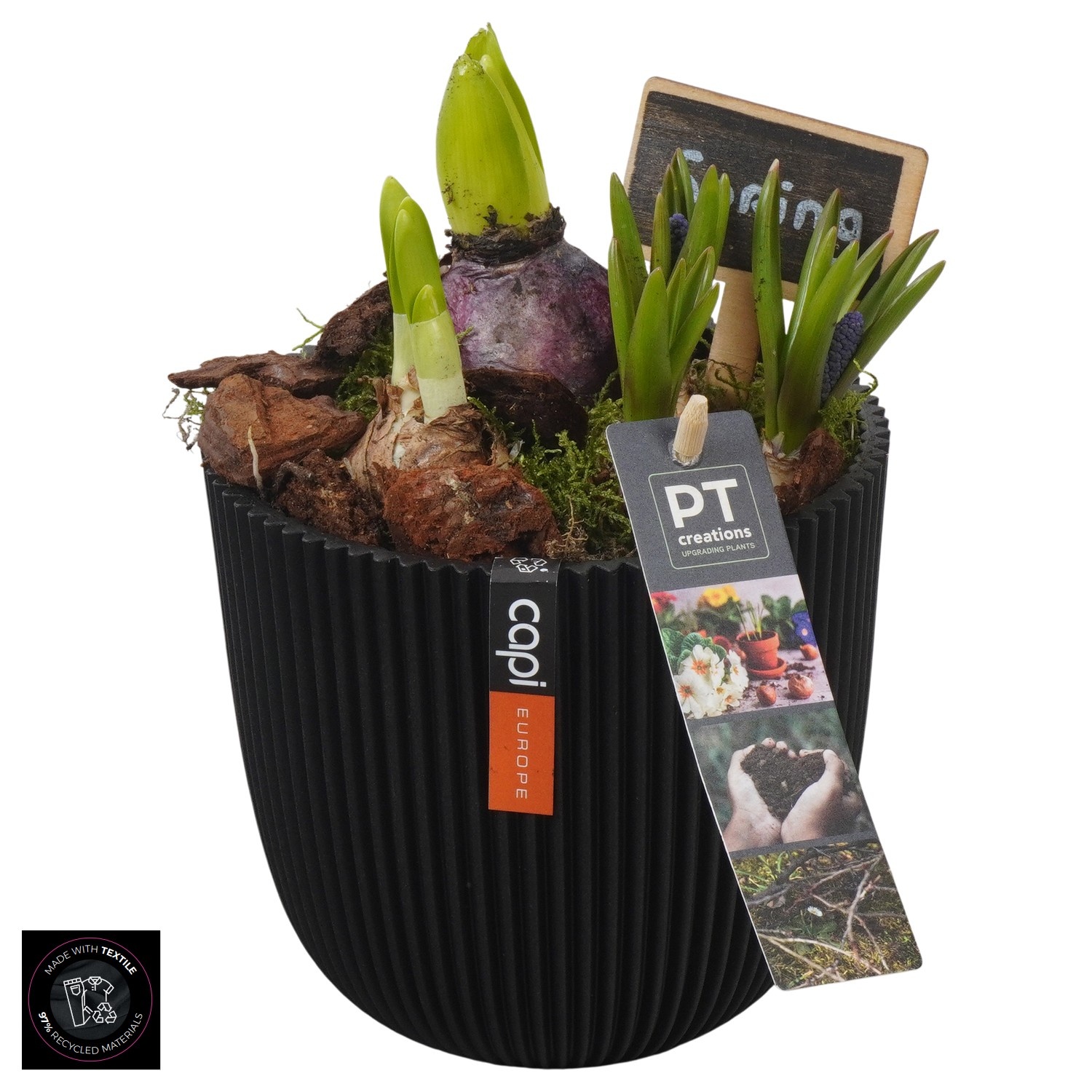 PTBM3934 Arrangement Flower Bulbs Mix in capi pot, D 13