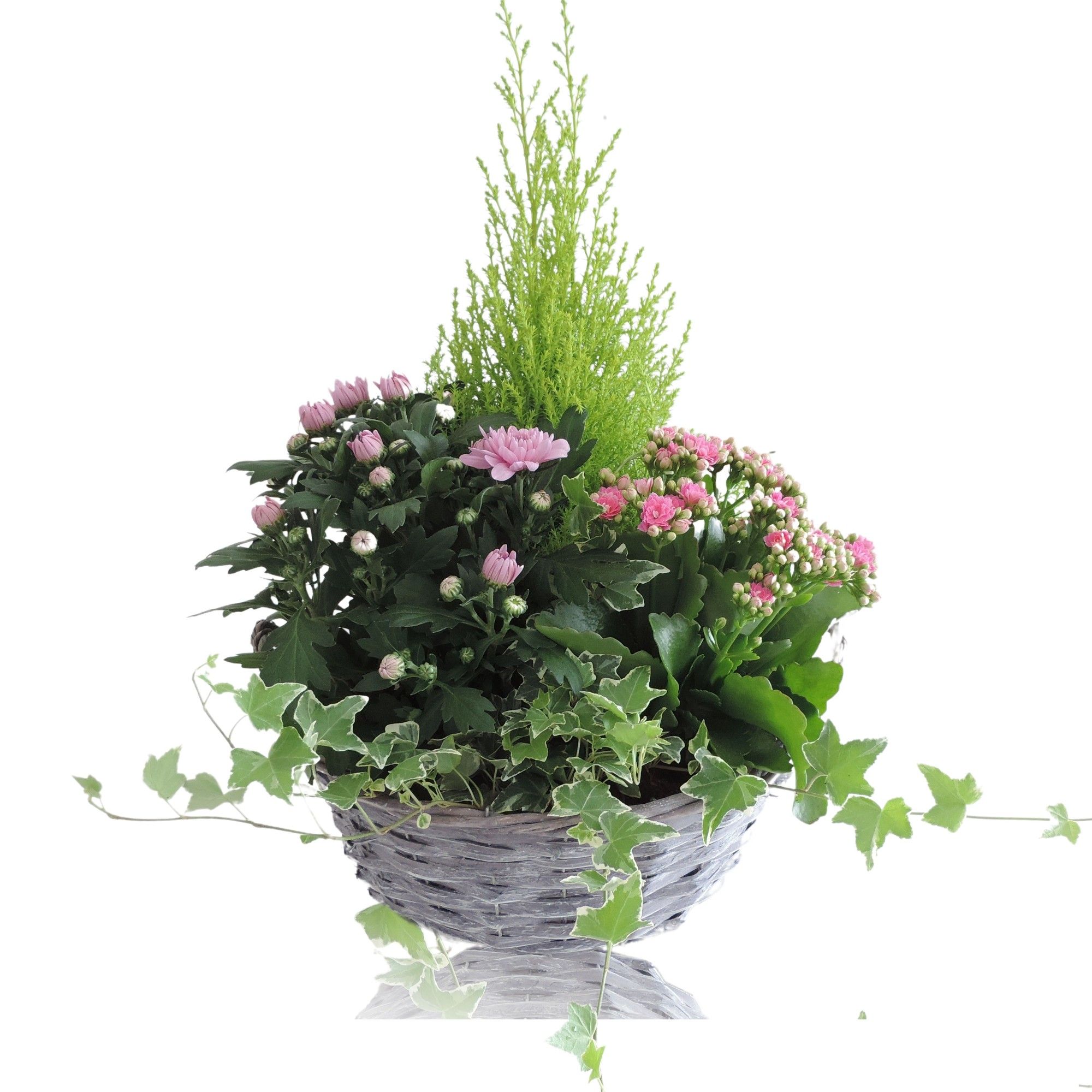 Arrangement in Mand Split Willow 29 cm, D 29