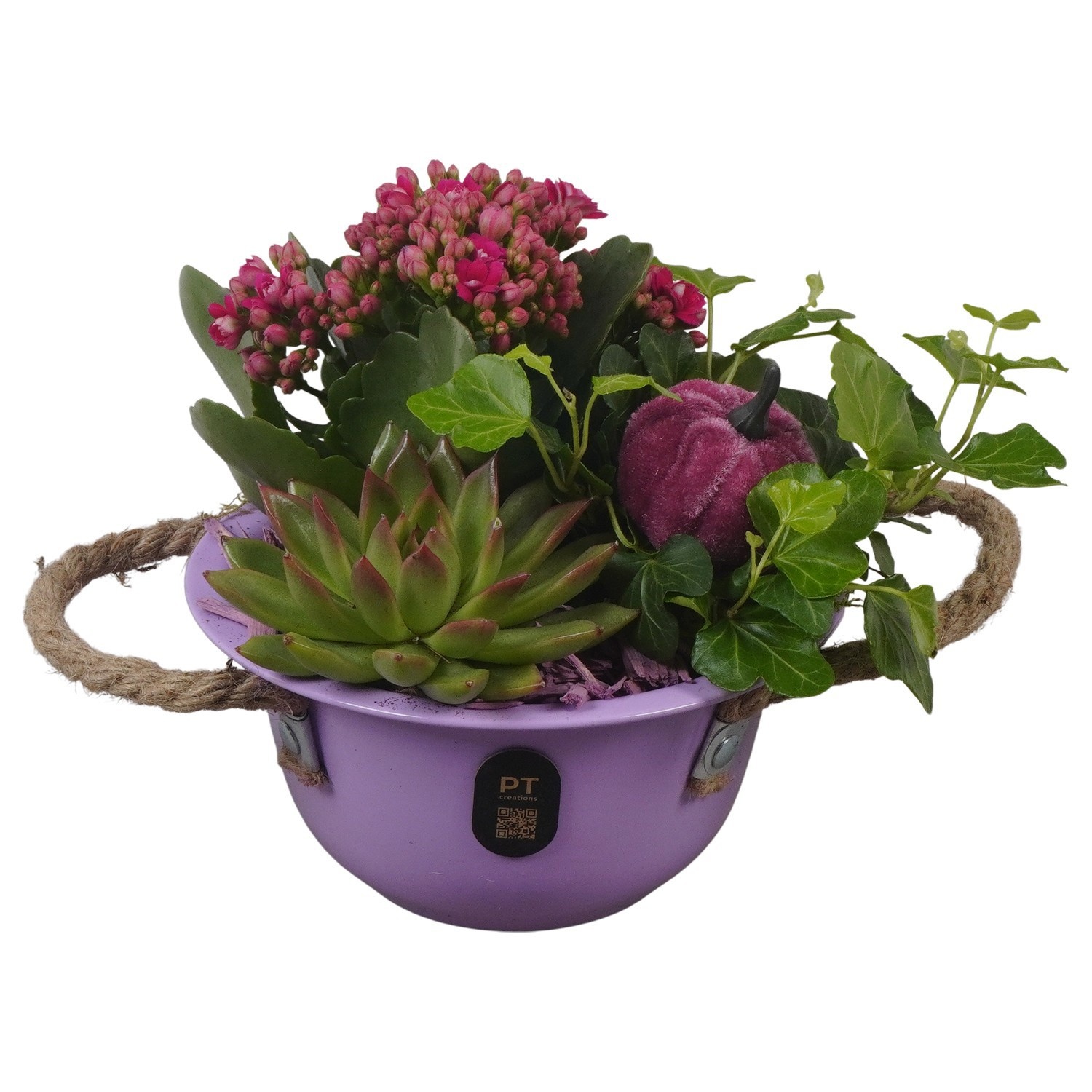 PTHI3374 Arrangement Autumn Indoor in metalen schaal, D 16