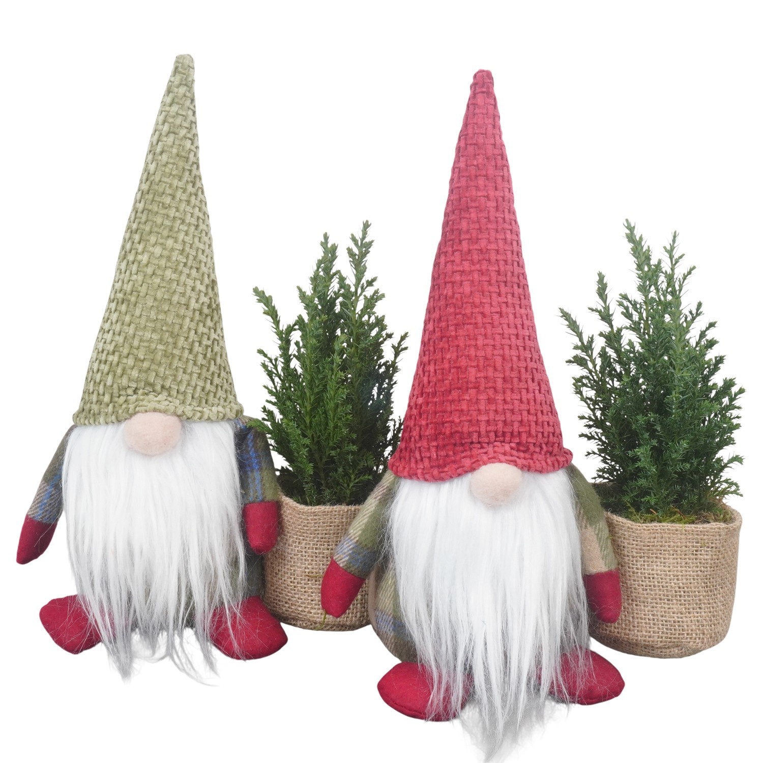 PTK26801 Ellwoodii in stoffen gnoom, D 20