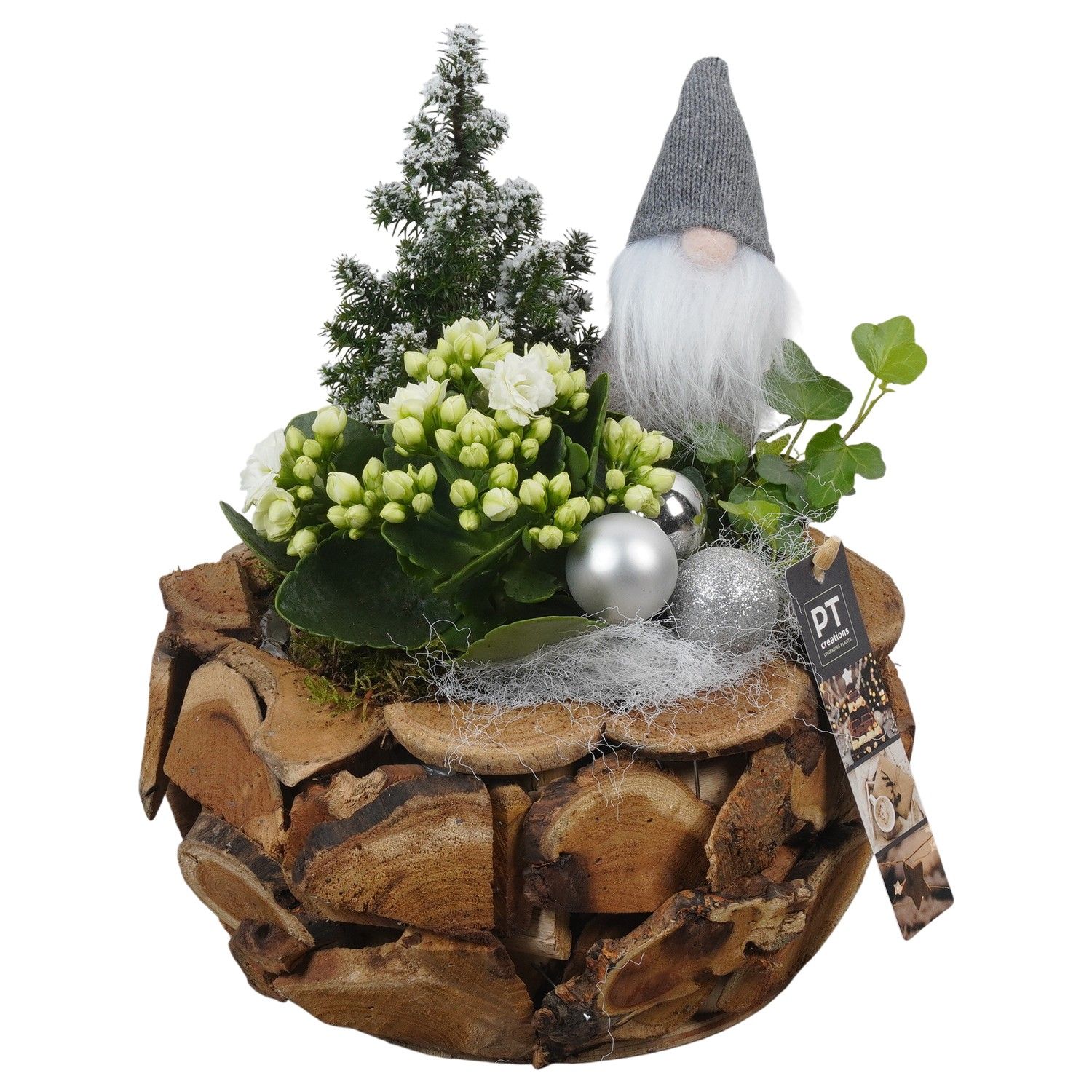 PTCHW4331 Arrangement Christmas White in houten pot, D 24 cm
