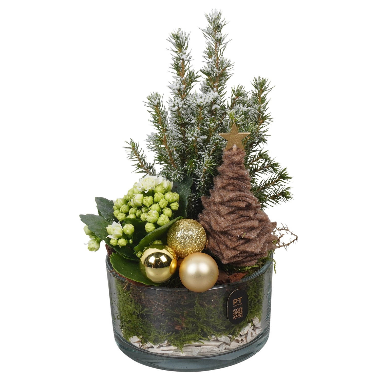 PTCHG4613 Arrangement Christmas Gold in glas schaal, D 14