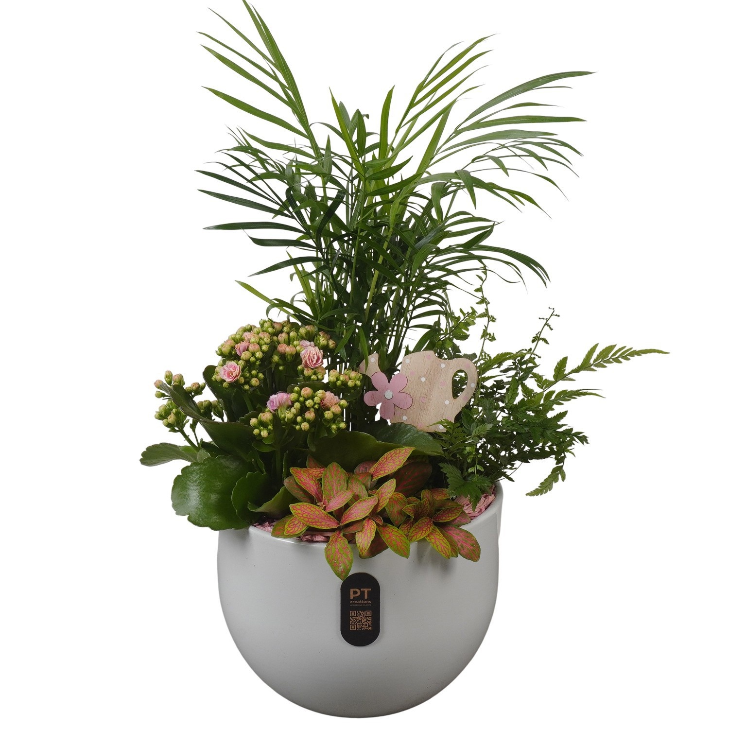 PTIB5155 Arrangement Indoor in keramiek pot, D 19