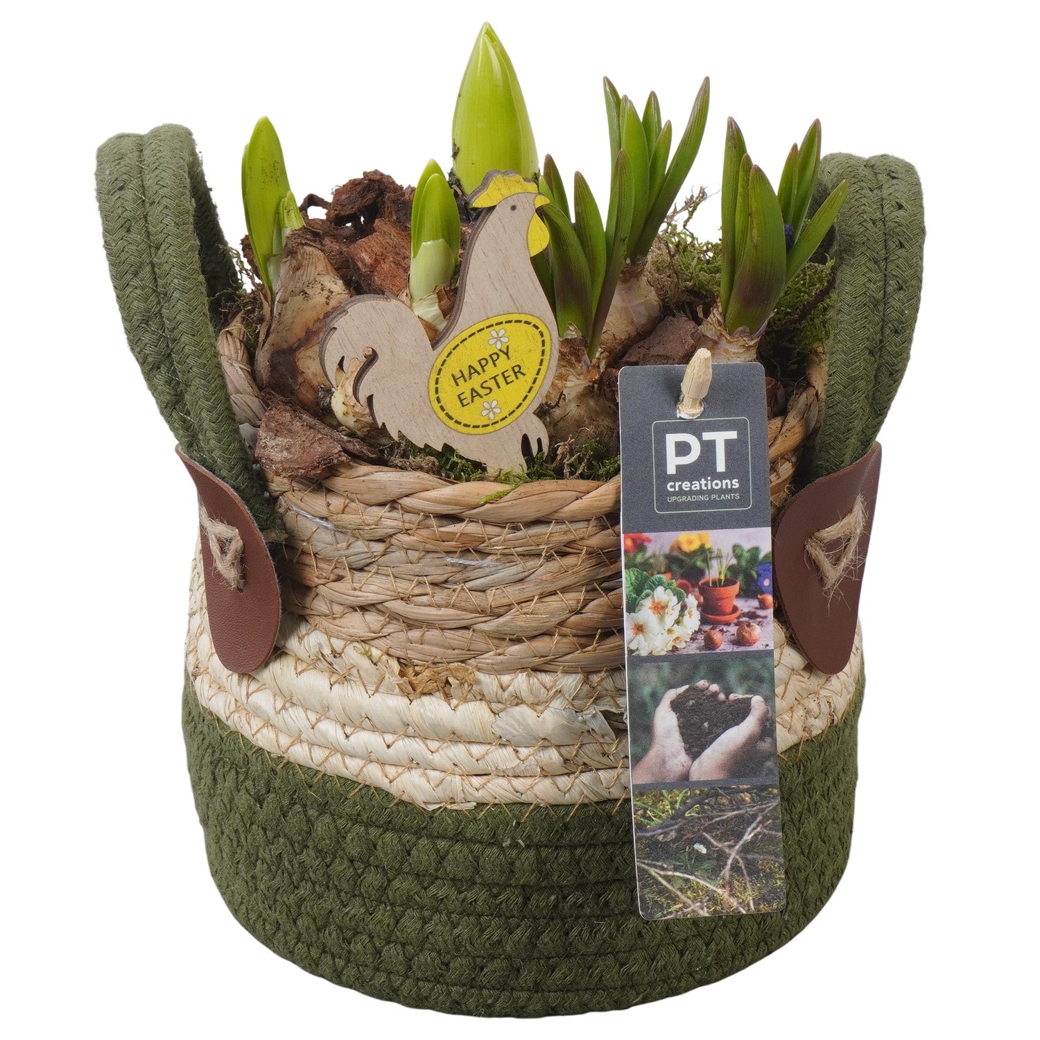 PTBMP5686 Arrangement Easter Bulbs Mix in rieten mand, D 13