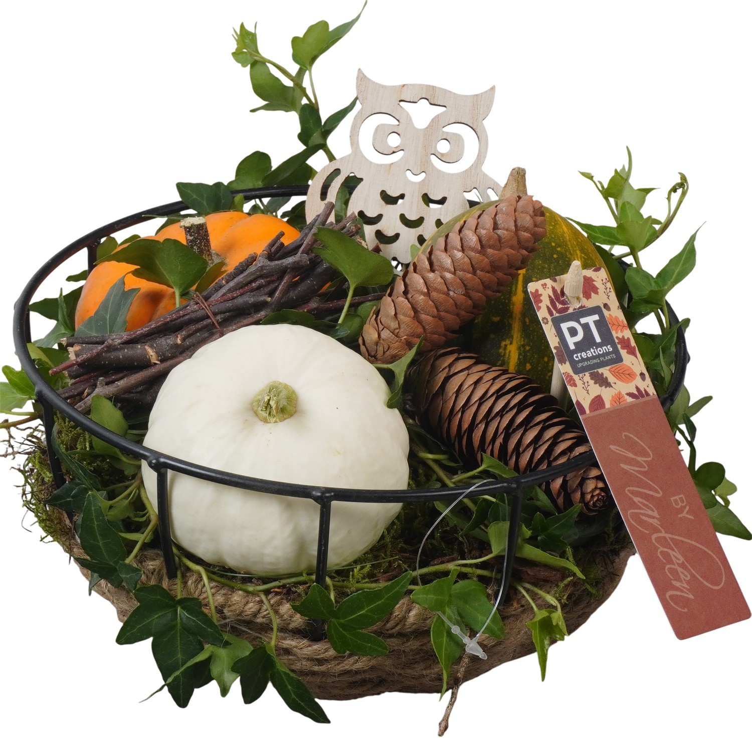 PTSF8241 Arrangement Kalebas hedera in touw mand, D 20 cm