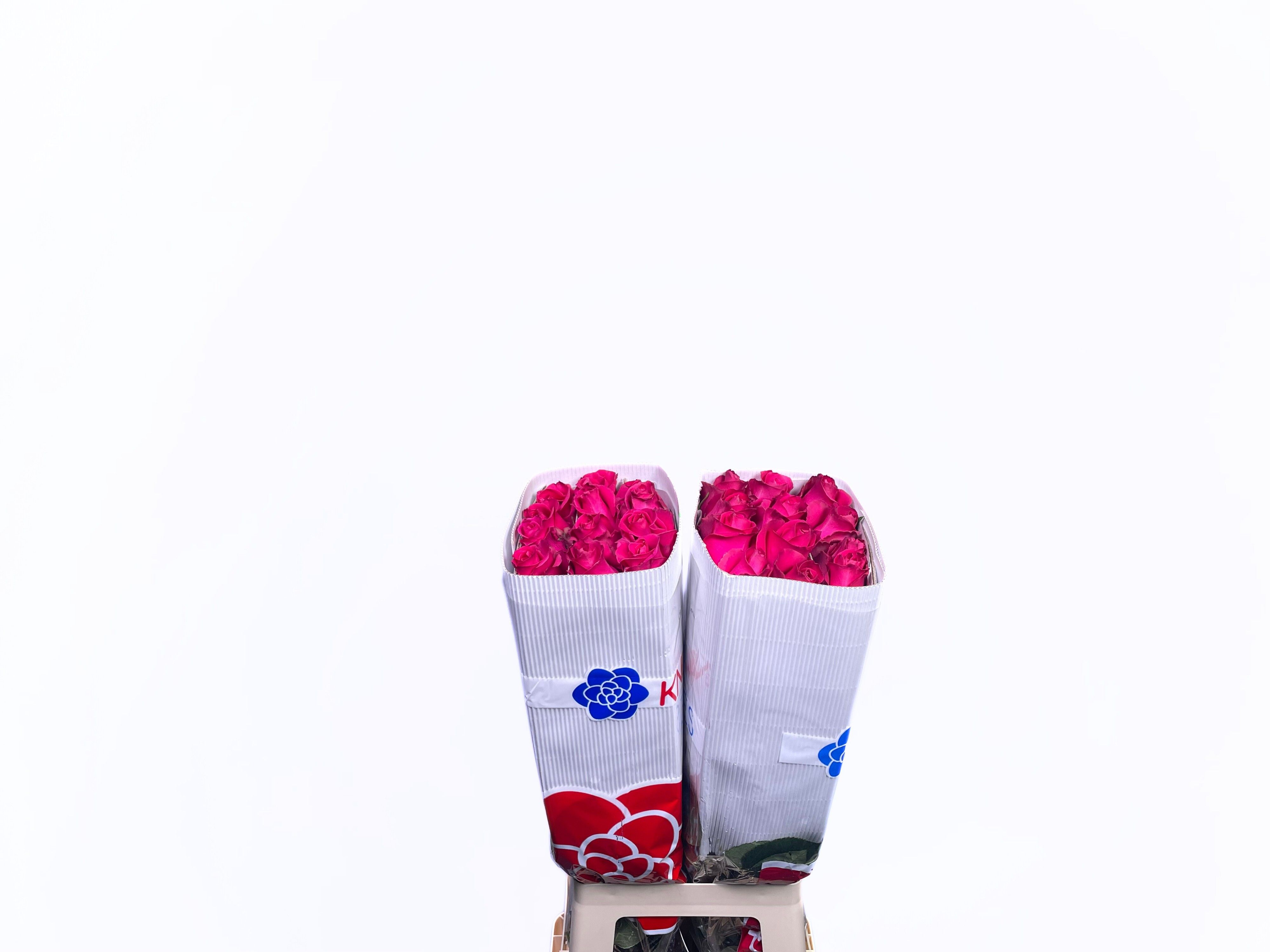 Роза од. Фул Монти 70 (ярко-роз.), шт.