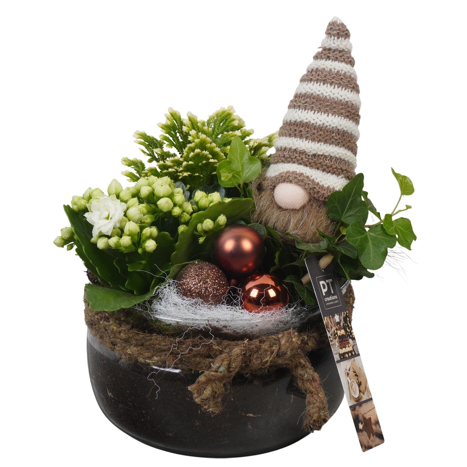 PTCHB9851 Arrangement Christmas Bronze in glas schaal, D 16 cm