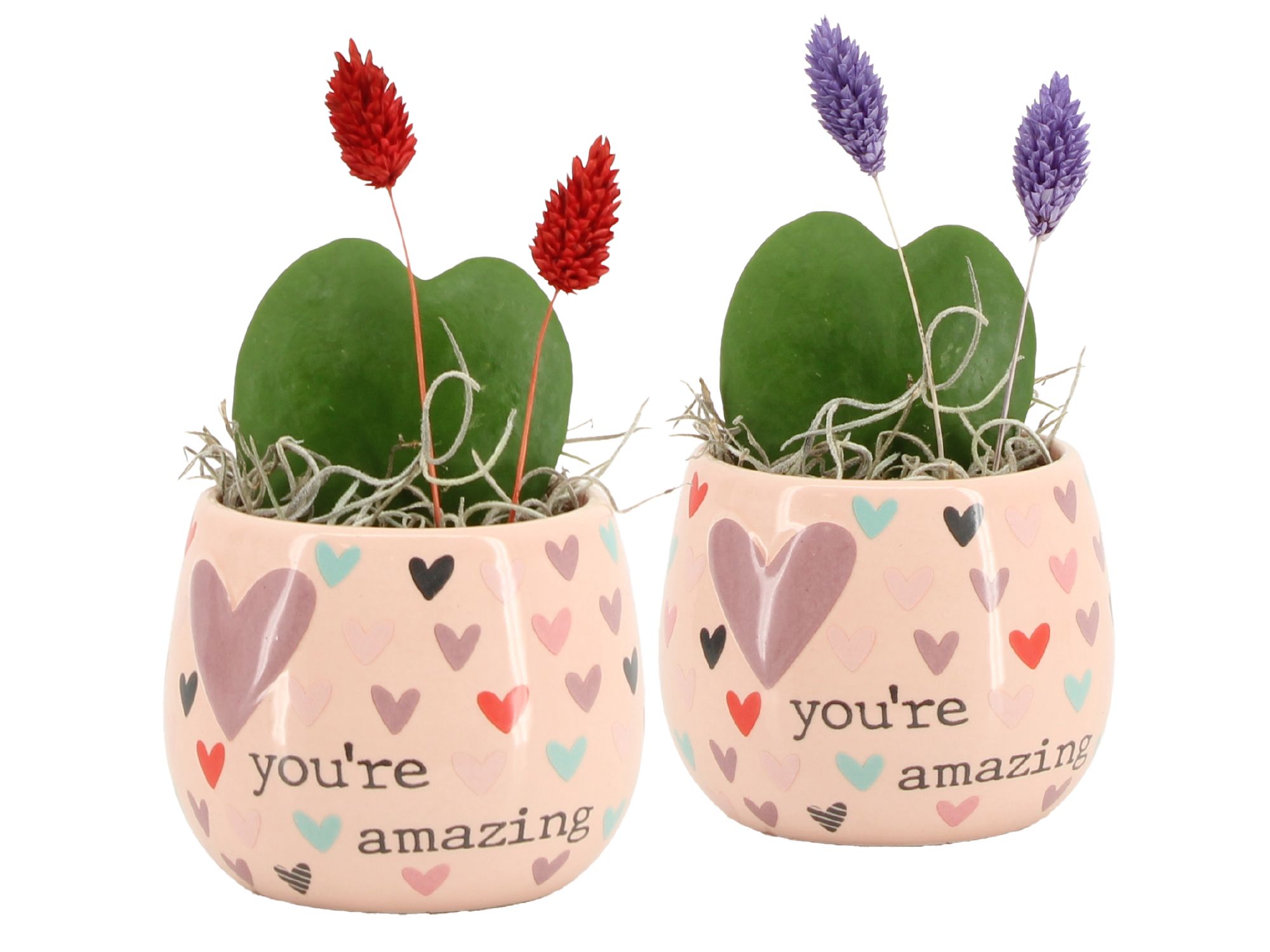 21585: Lovess arrangement, D 9,5