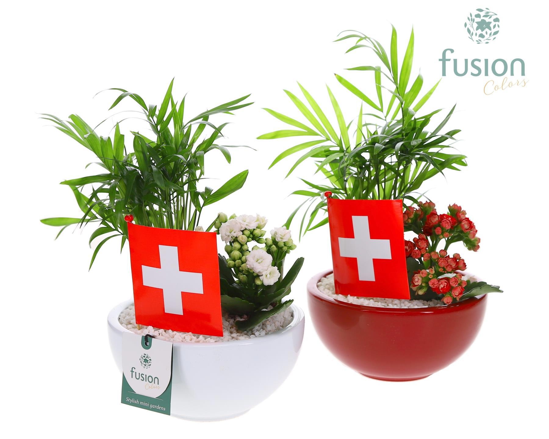 Schaal keramiek Moon Small Zwitserland wit en rood met arrangement, D 15