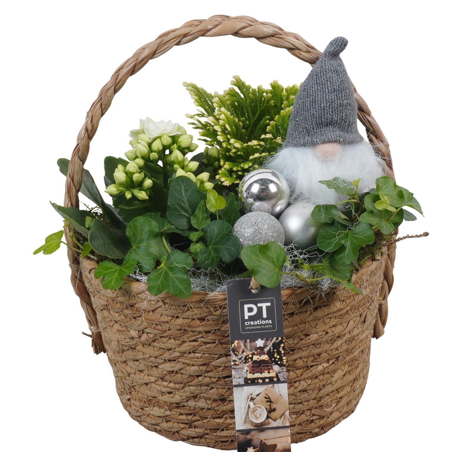 PTCHW4334 Arrangement Christmas White in rieten mand, D 18 cm