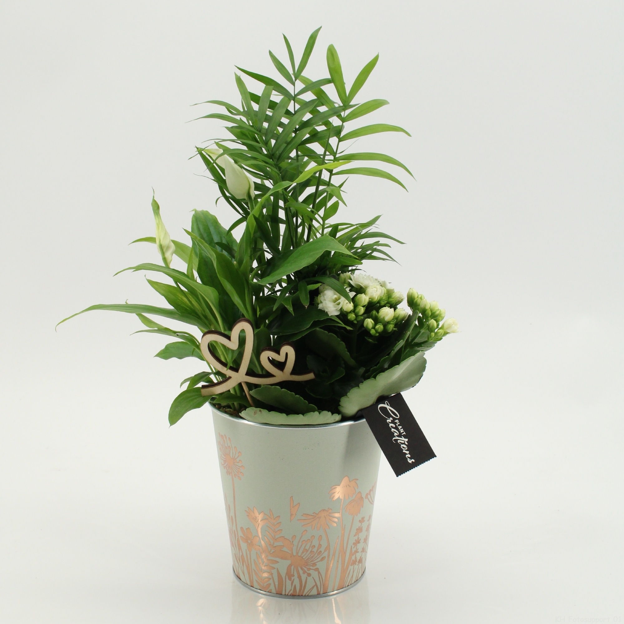 MDCR-2639W Mother's day Essentials, D 13