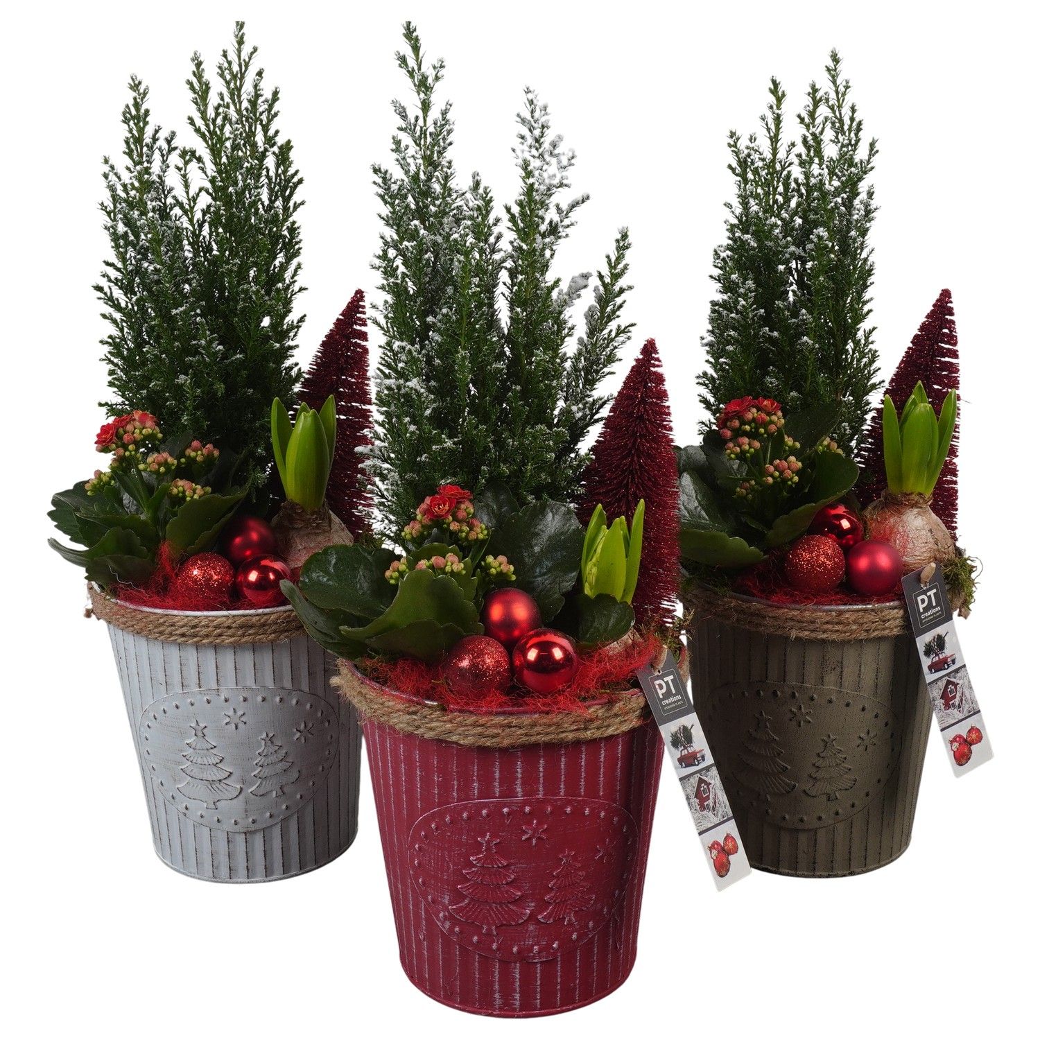 PTCHR7320 Arrangement Christmas Red in metaal pot, D 16 cm