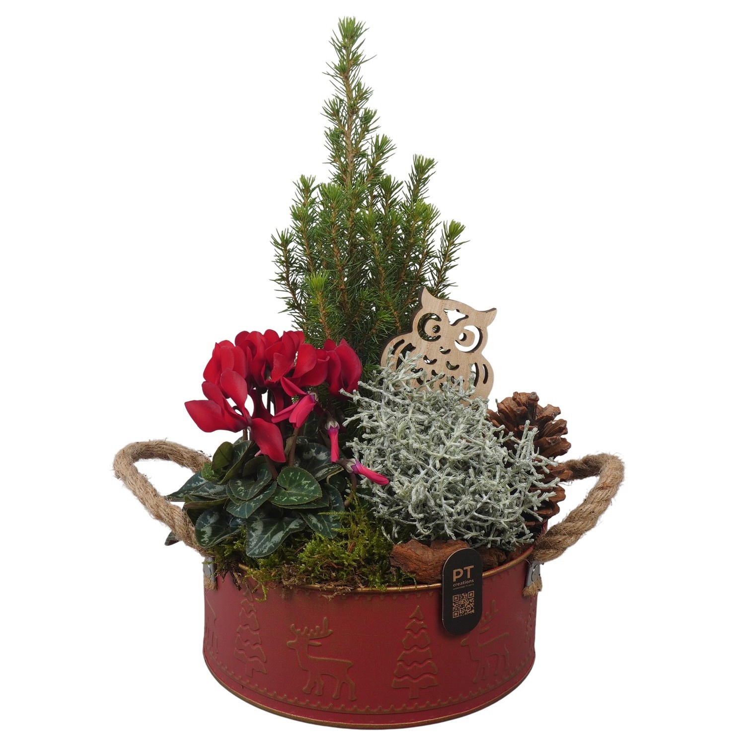 PTWO2877 Arrangement Winter Outdoor in metalen pot, D 20