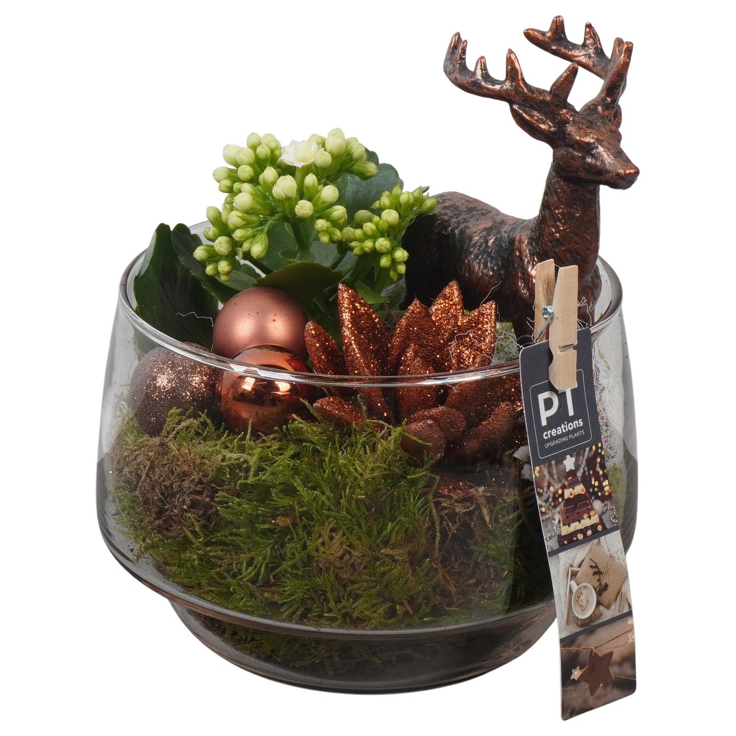PTCHB9862 Arrangement Christmas Bronze in glazen pot, D 17 cm