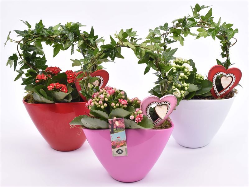 Keramiek ovaal kl.mix 19x10, D 18