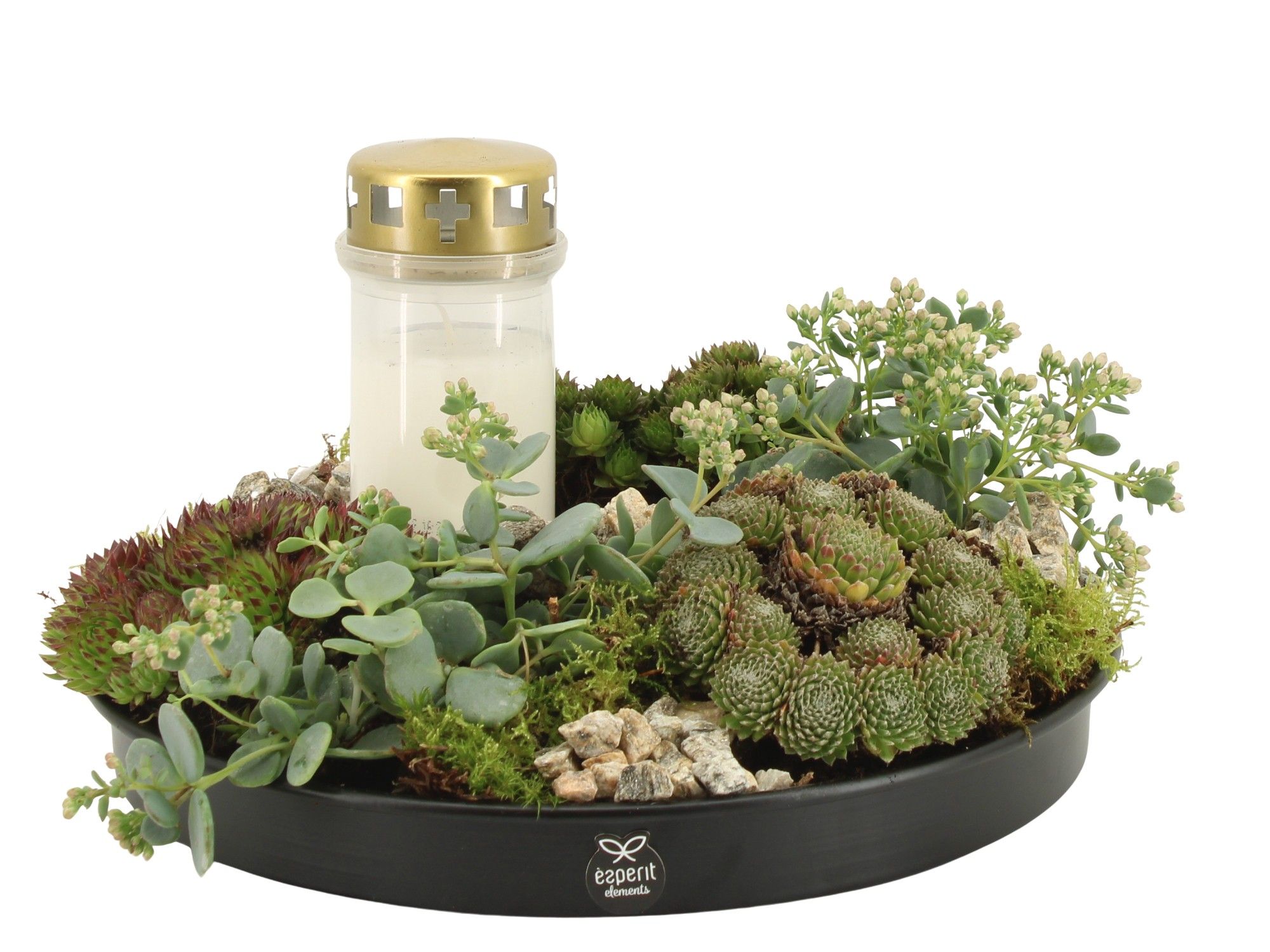 41658: All saints arrangement, D 29 cm 41658: All saints arrangement, D 29 cm
