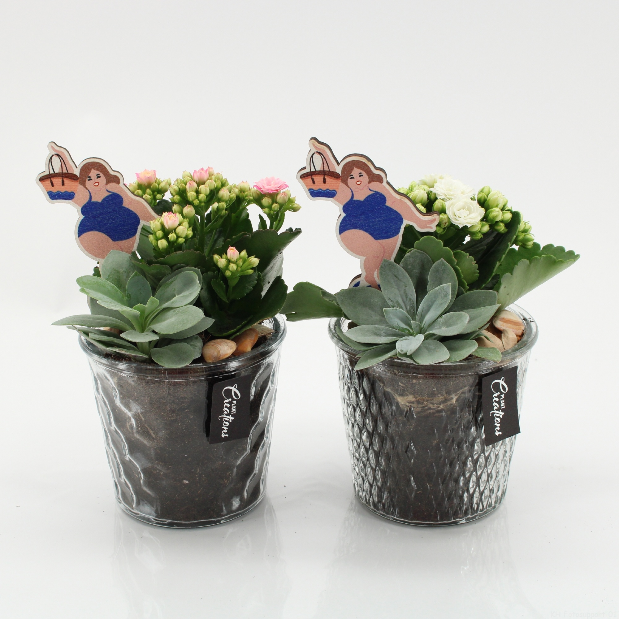 SFCR-2612 Summer Beach, D 12