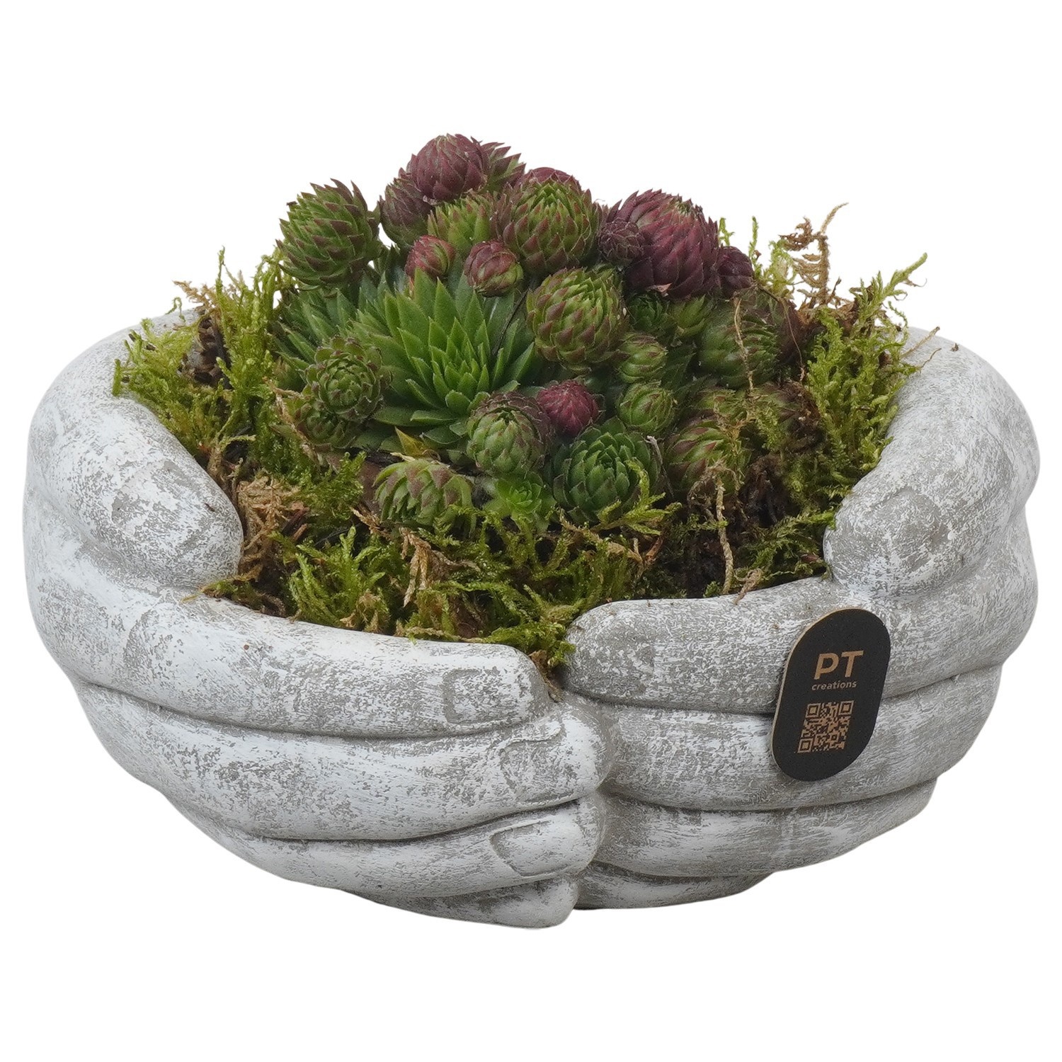 PTAH3012 Arrangement allerheiligen in beton handen pot, D 16