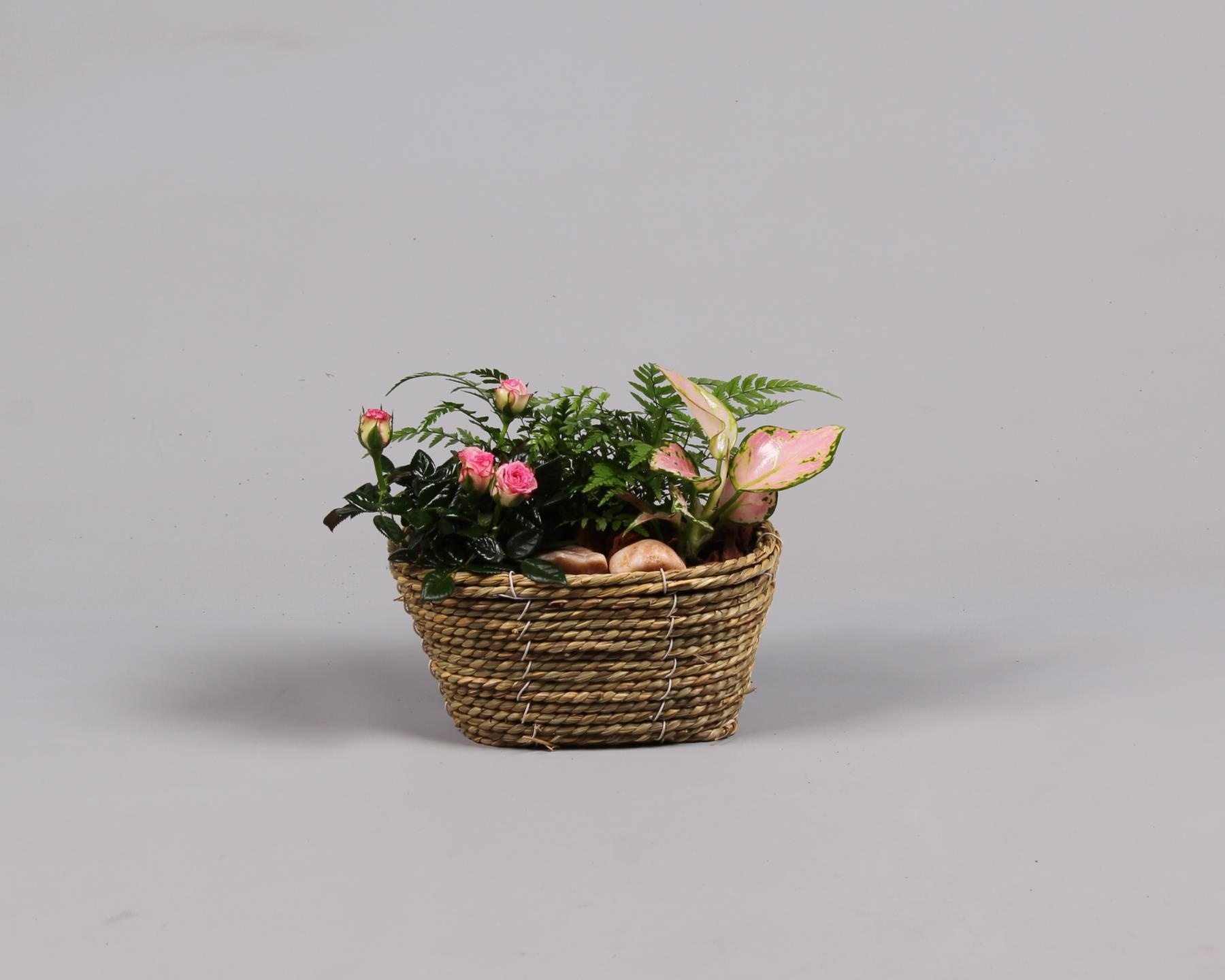 Mand zeegras ovaal met arrangement, D 18