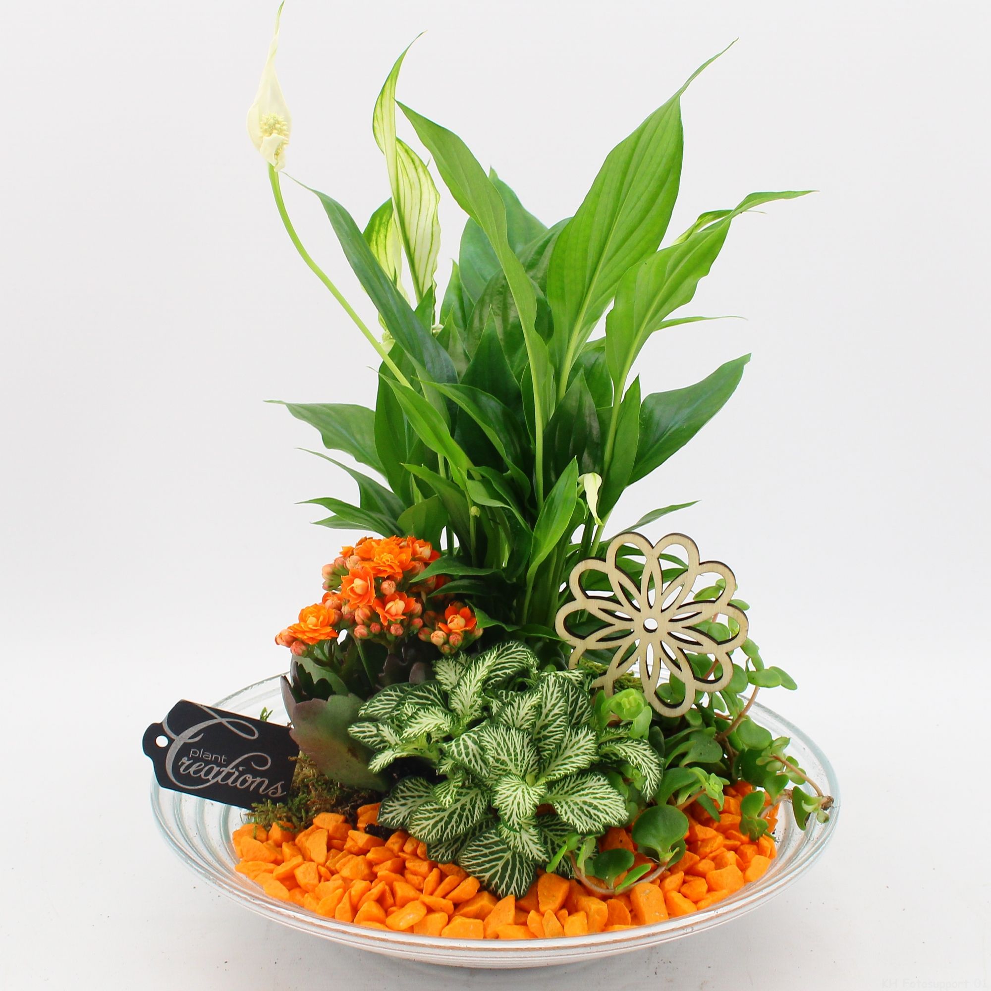 FDCR-2600OR Basic fundamentals, D 30