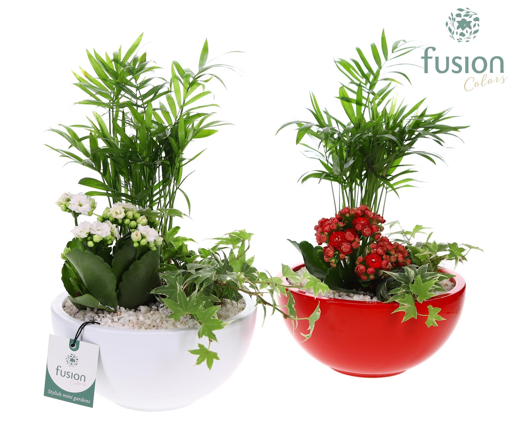 Schaal keramiek Moon Medium wit en rood met arrangement, D 18