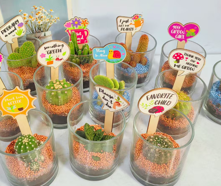 Кактус Гласс раунд хардковер итем 11 18