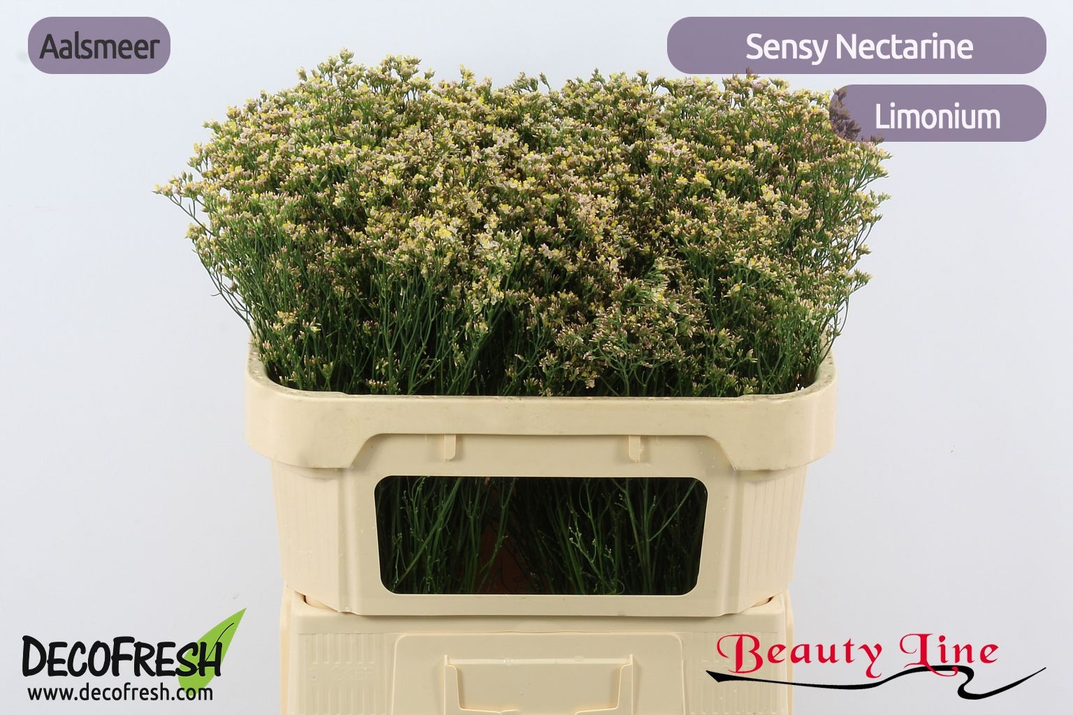 Лимониум Сенси Нектарин 70, шт.