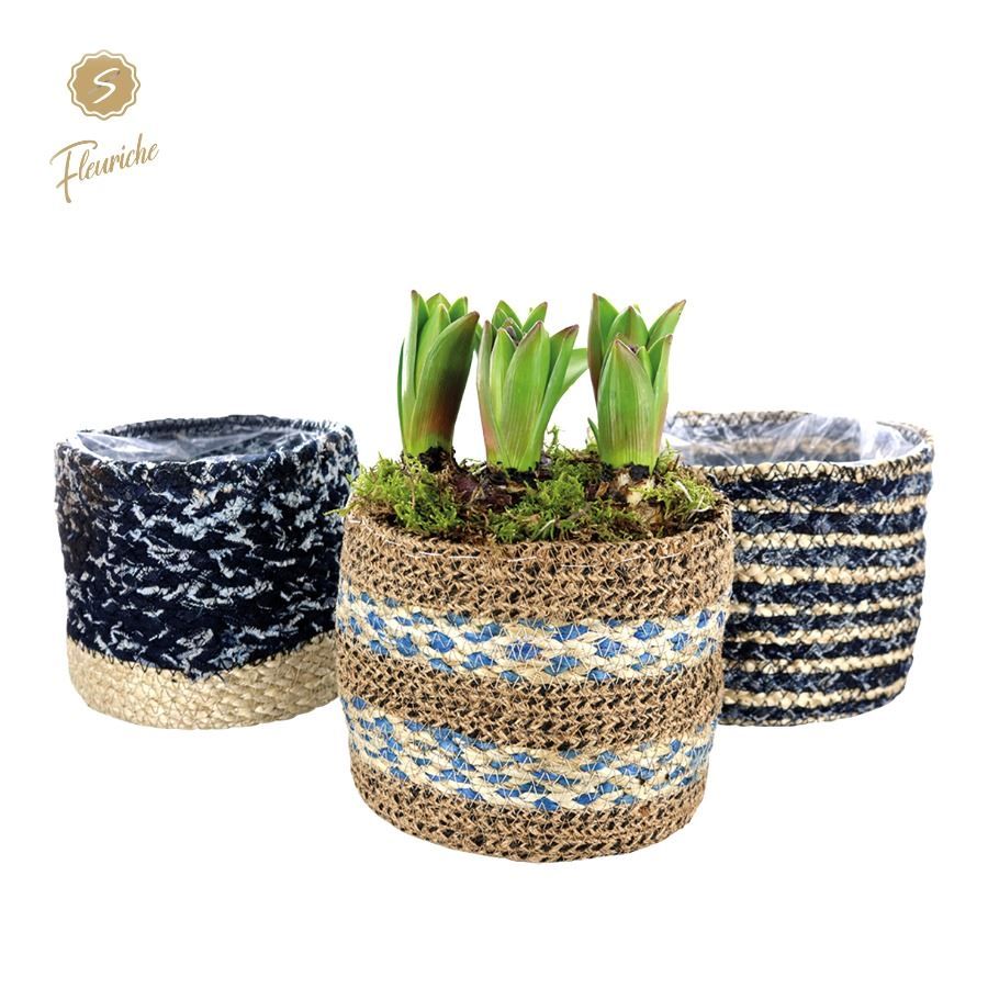 (5701) Hyacint Blue Jeans [L] 5PP Mos, D 17 cm