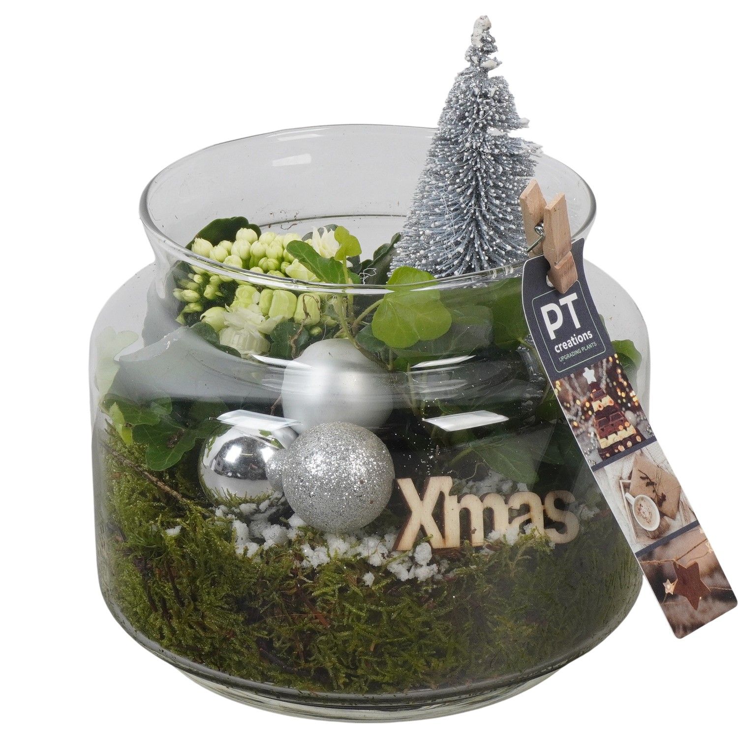 PTCHW4384 Arrangement Christmas White in glazen pot, D 16 cm