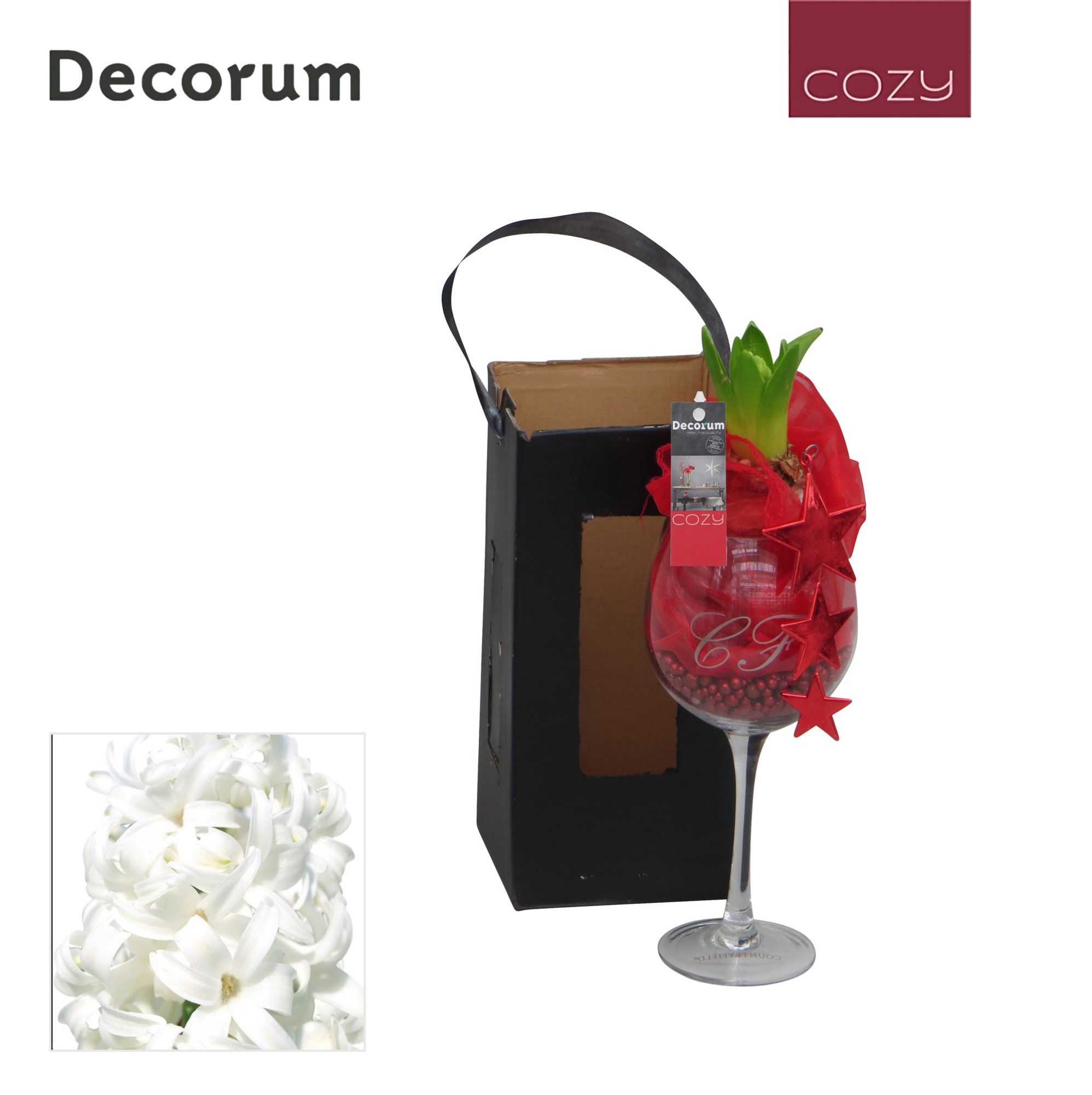 Hyacint Wijnglas HL16066WP [COZY], D 11