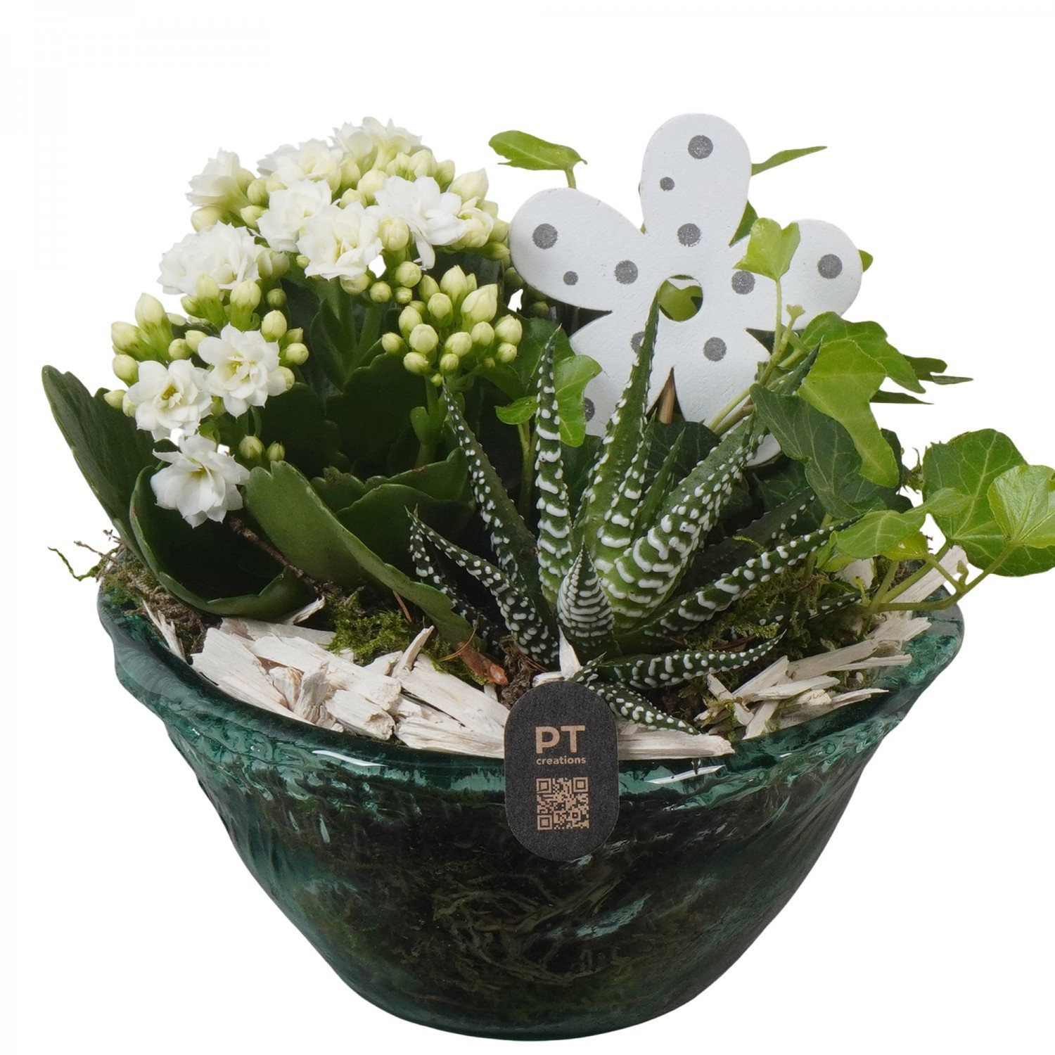 PTIG2633 Arrangement Indoor in glas schaal, D 15