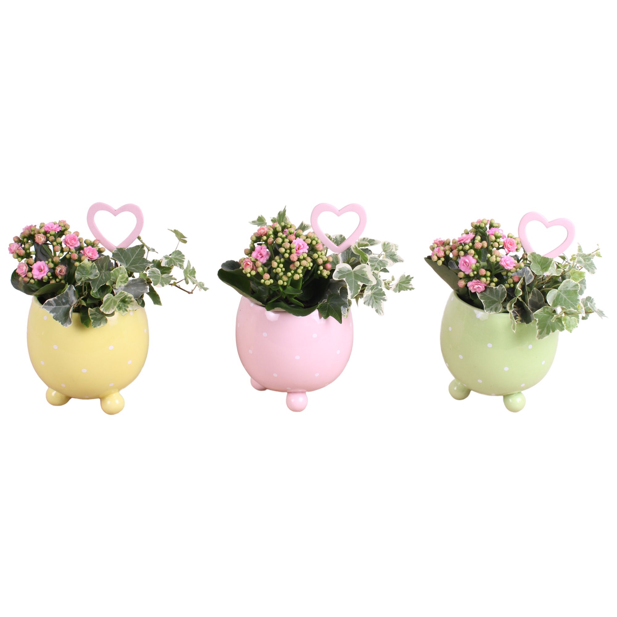 Mothersday Arr. Indoor Ceramic Ball Pot Dots Ø14cm 2PP, D 14