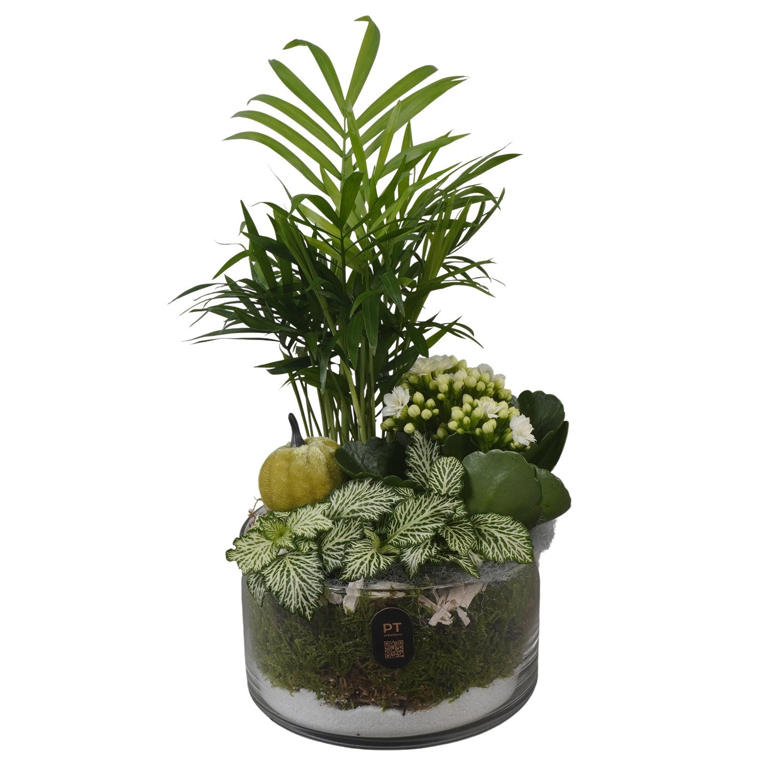 PTHG8206 Arrangement Autumn Glass in glas schaal, D 14