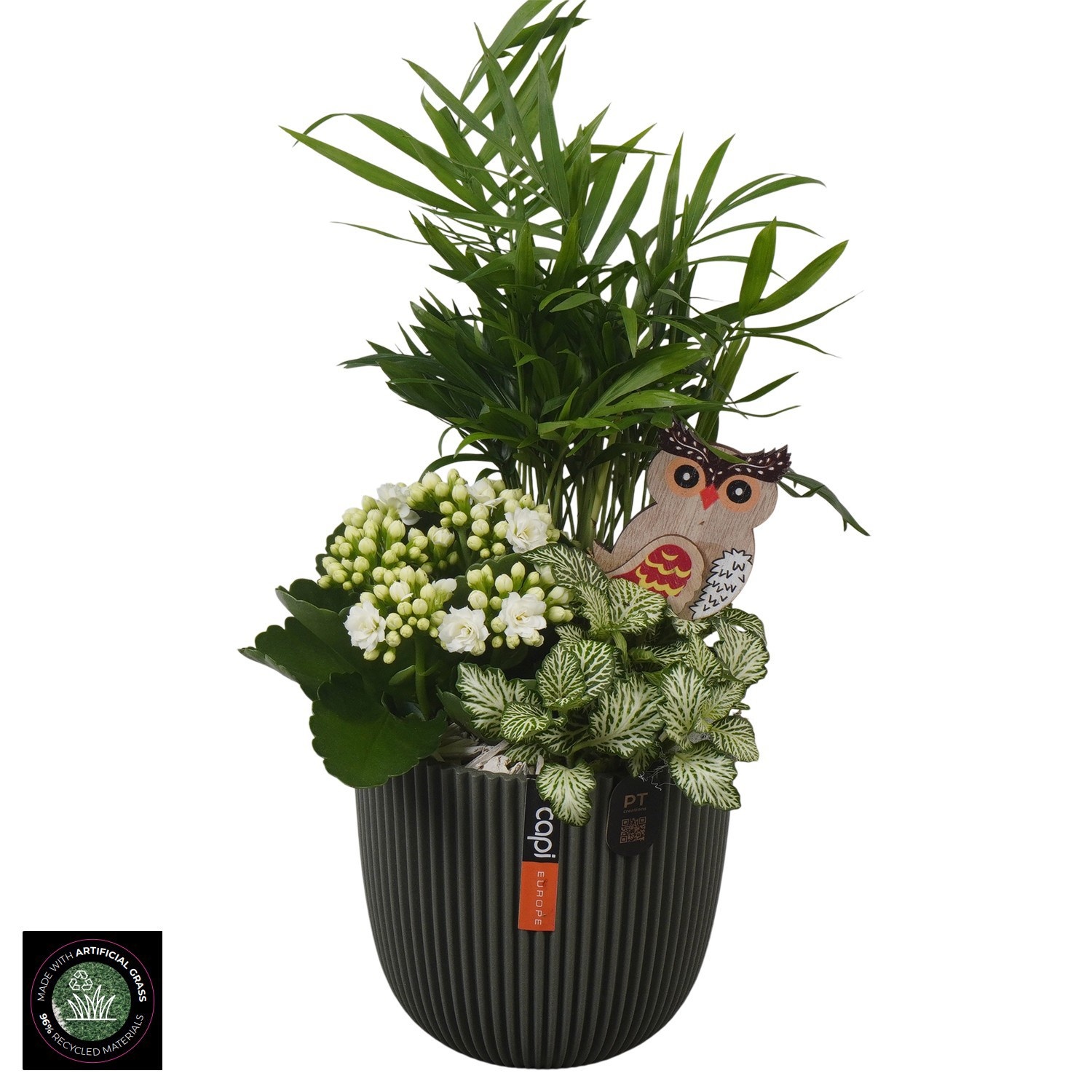 PTHI3422 Arrangement Autumn Indoor in capi pot, D 13