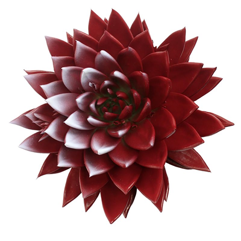 Miranda coloured flag Turkey, D 10,5