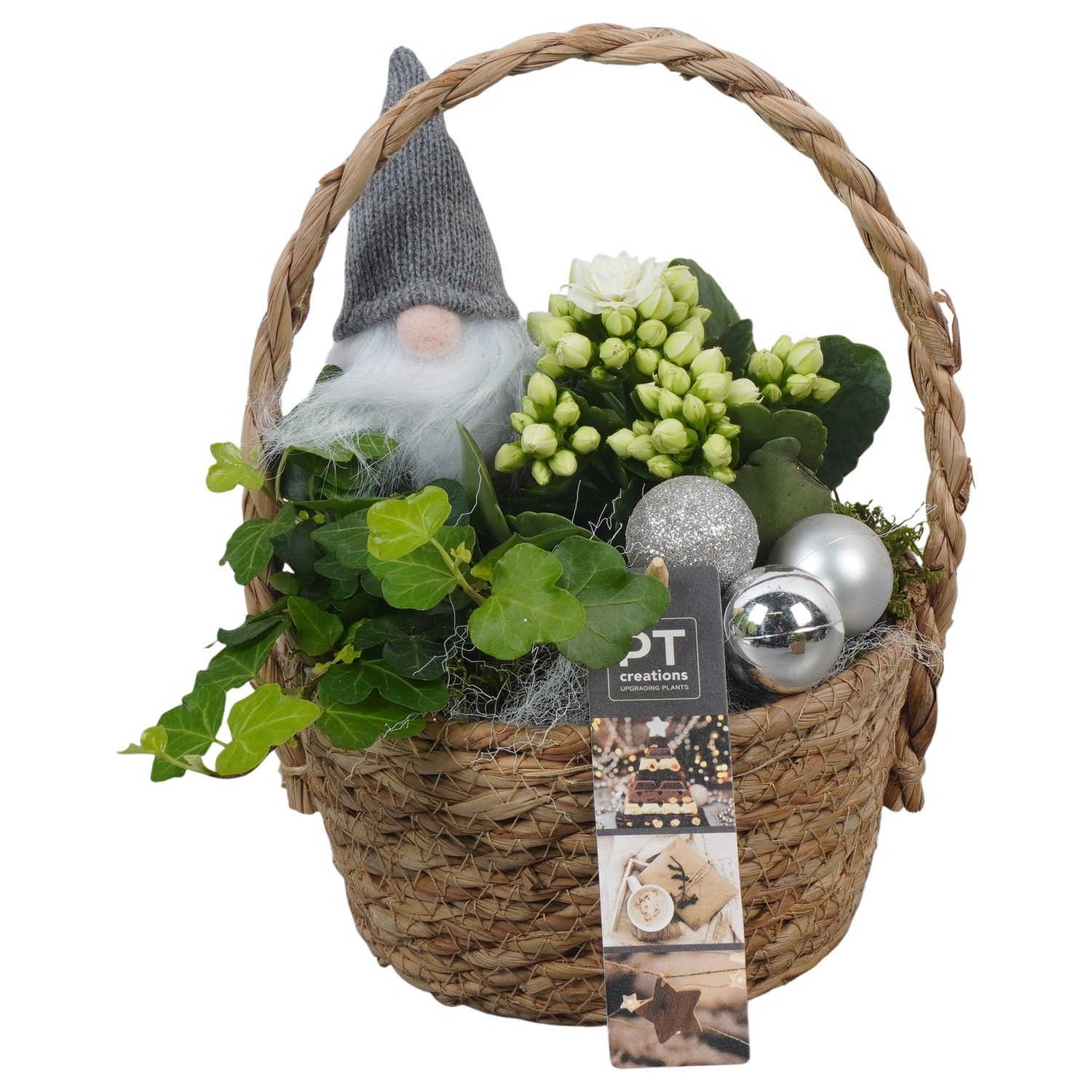 PTCHW4333 Arrangement Christmas White in rieten mand, D 15 cm