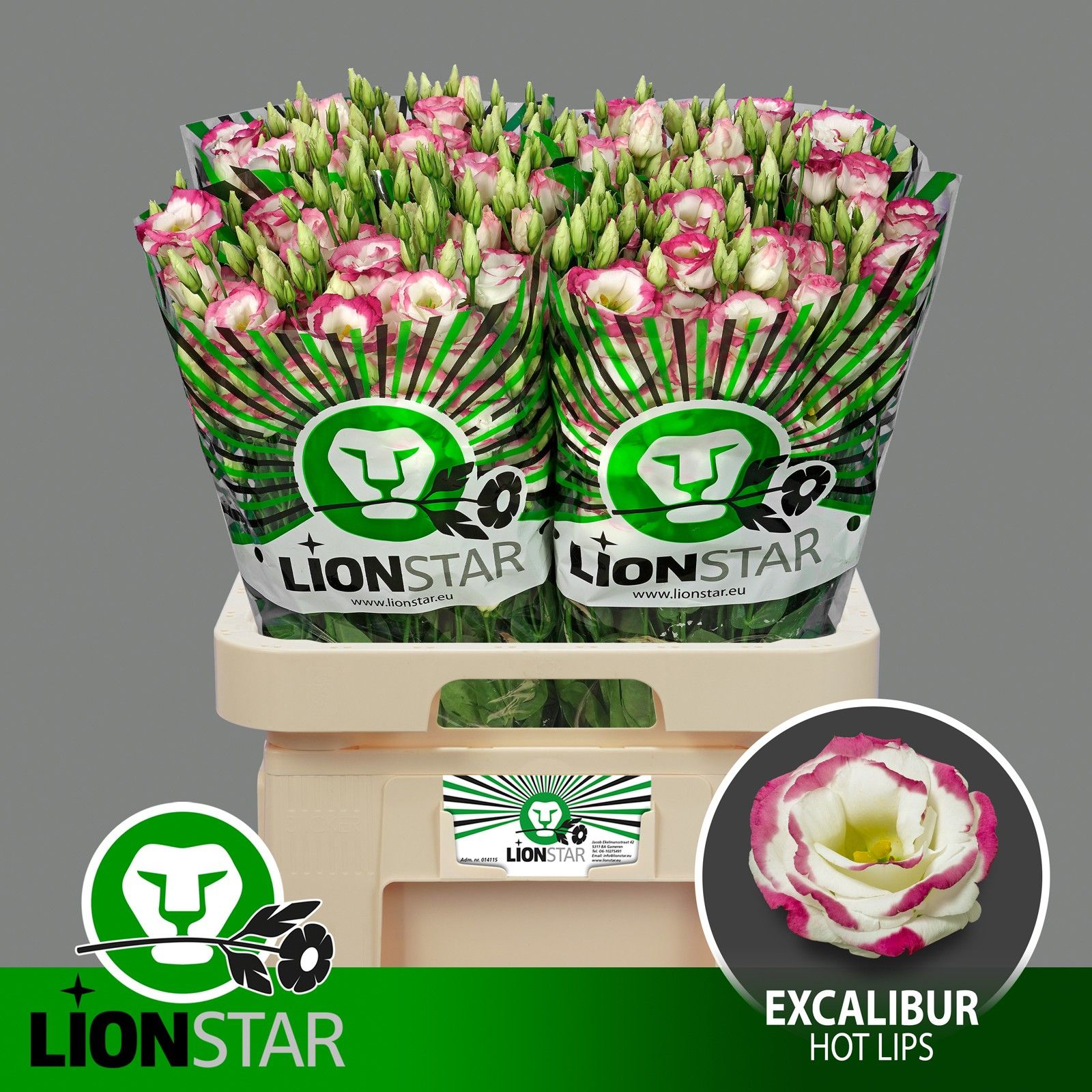 Эустома Экскалибур Хот Липс 70, шт.