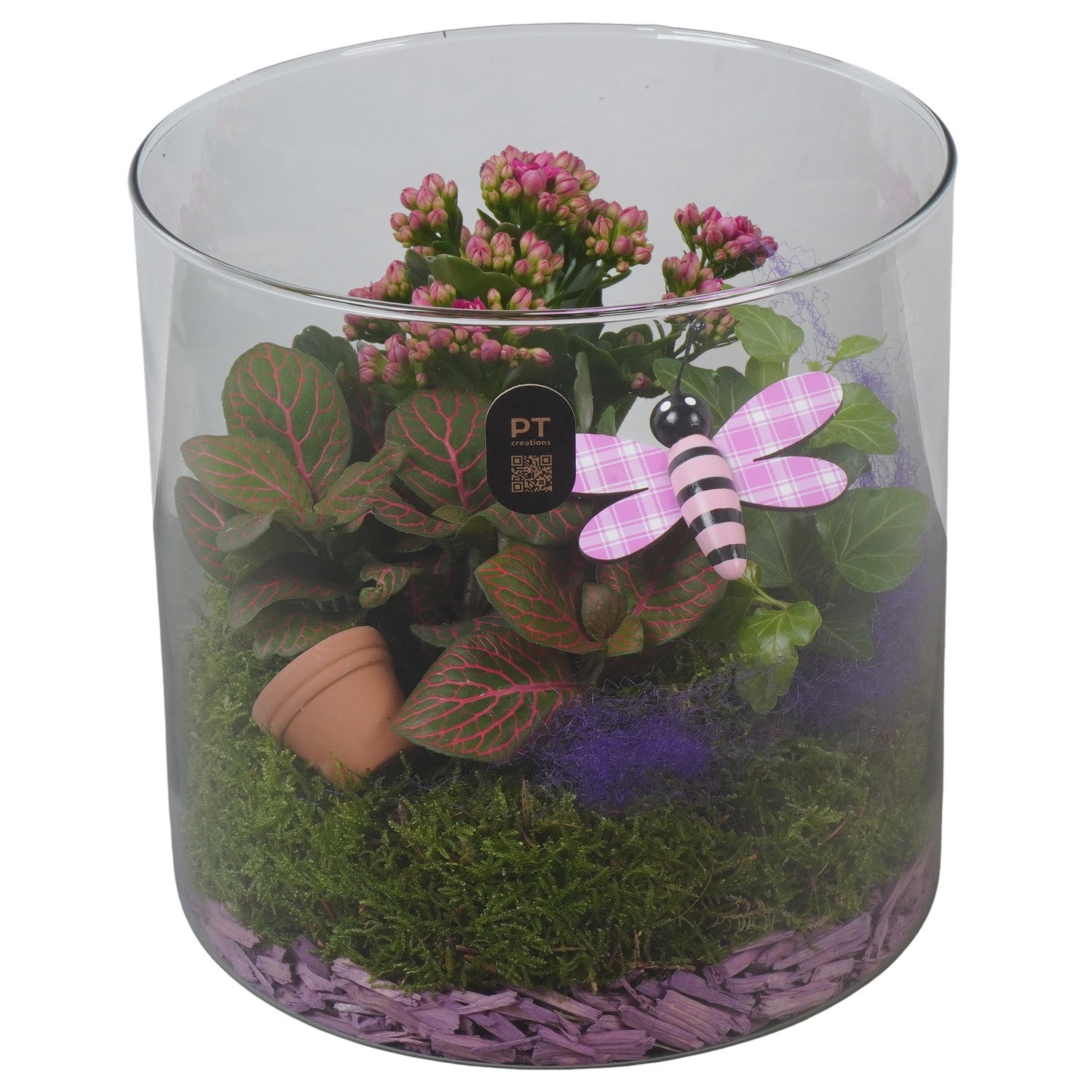 PTIG2619 Arrangement Indoor in glas cylinder, D 19