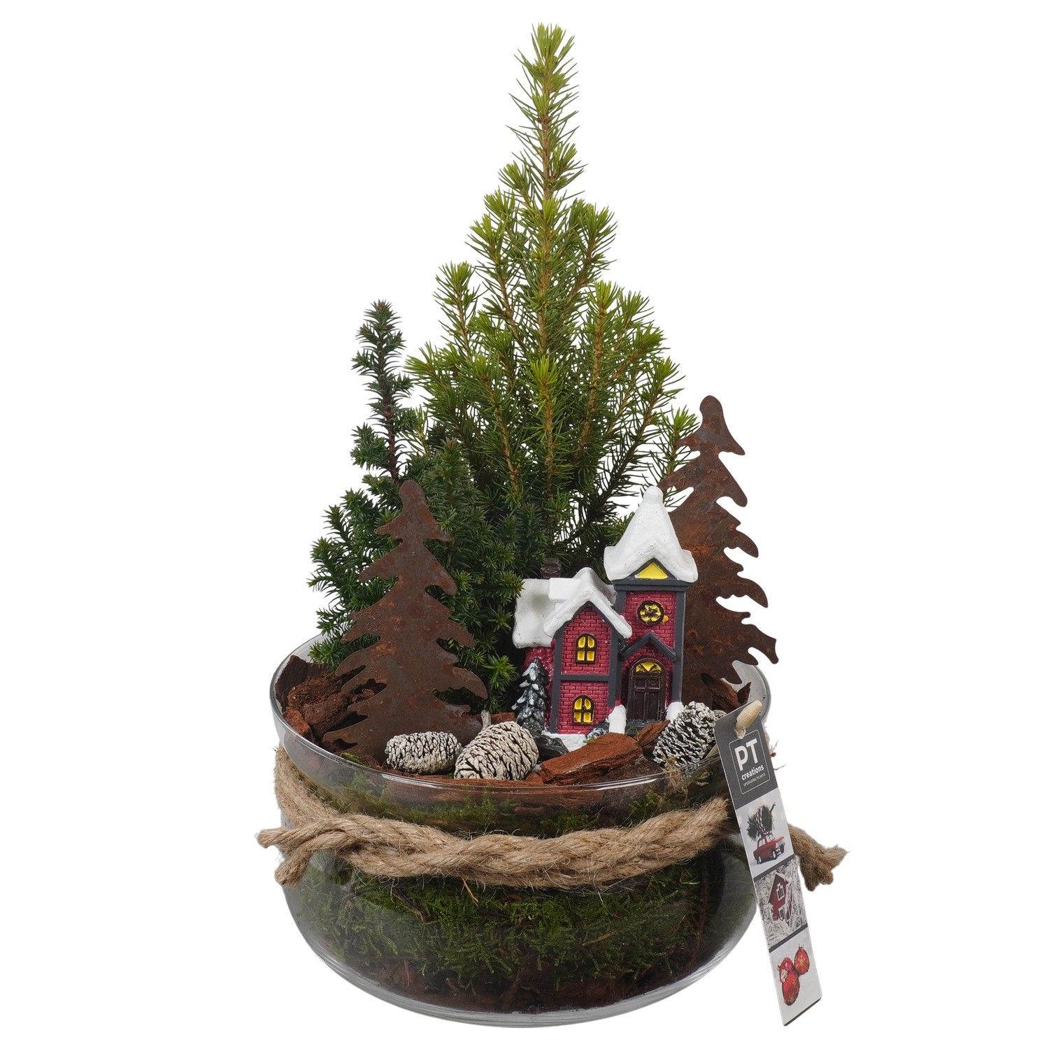 PTCWW6825 Arrangement Winter in glas schaal, D 19 cm