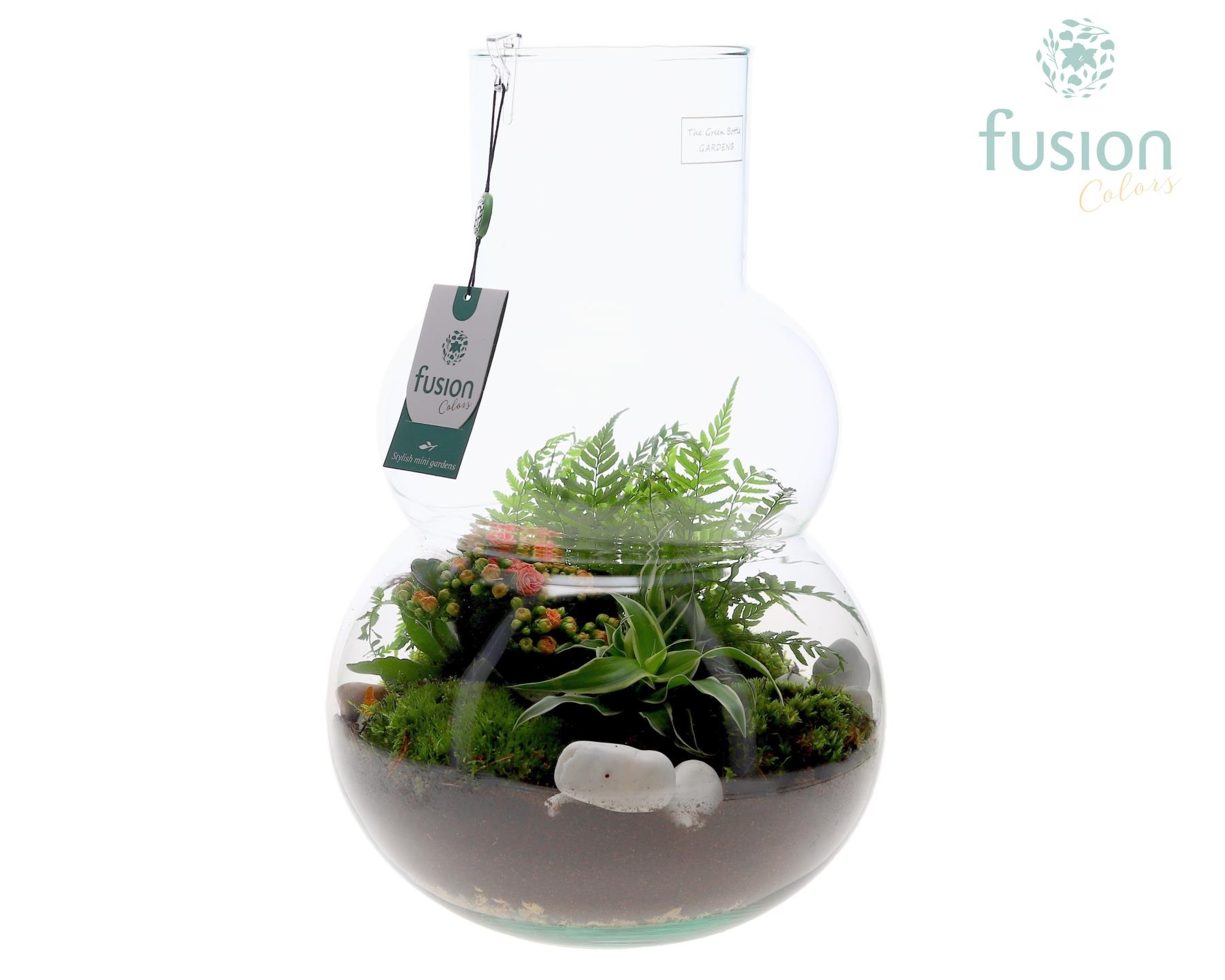 Green Bottle Olaf Large met arrangement, D 26