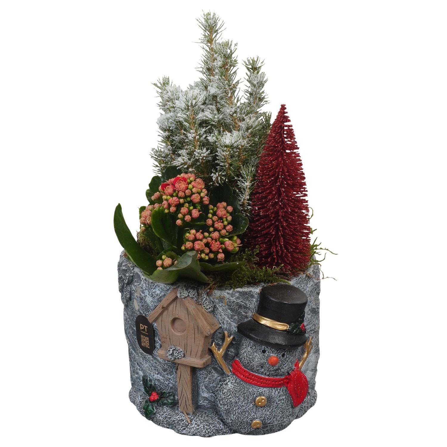 PTCHR9613 Arrangement Christmas Red in beton pot, D 18