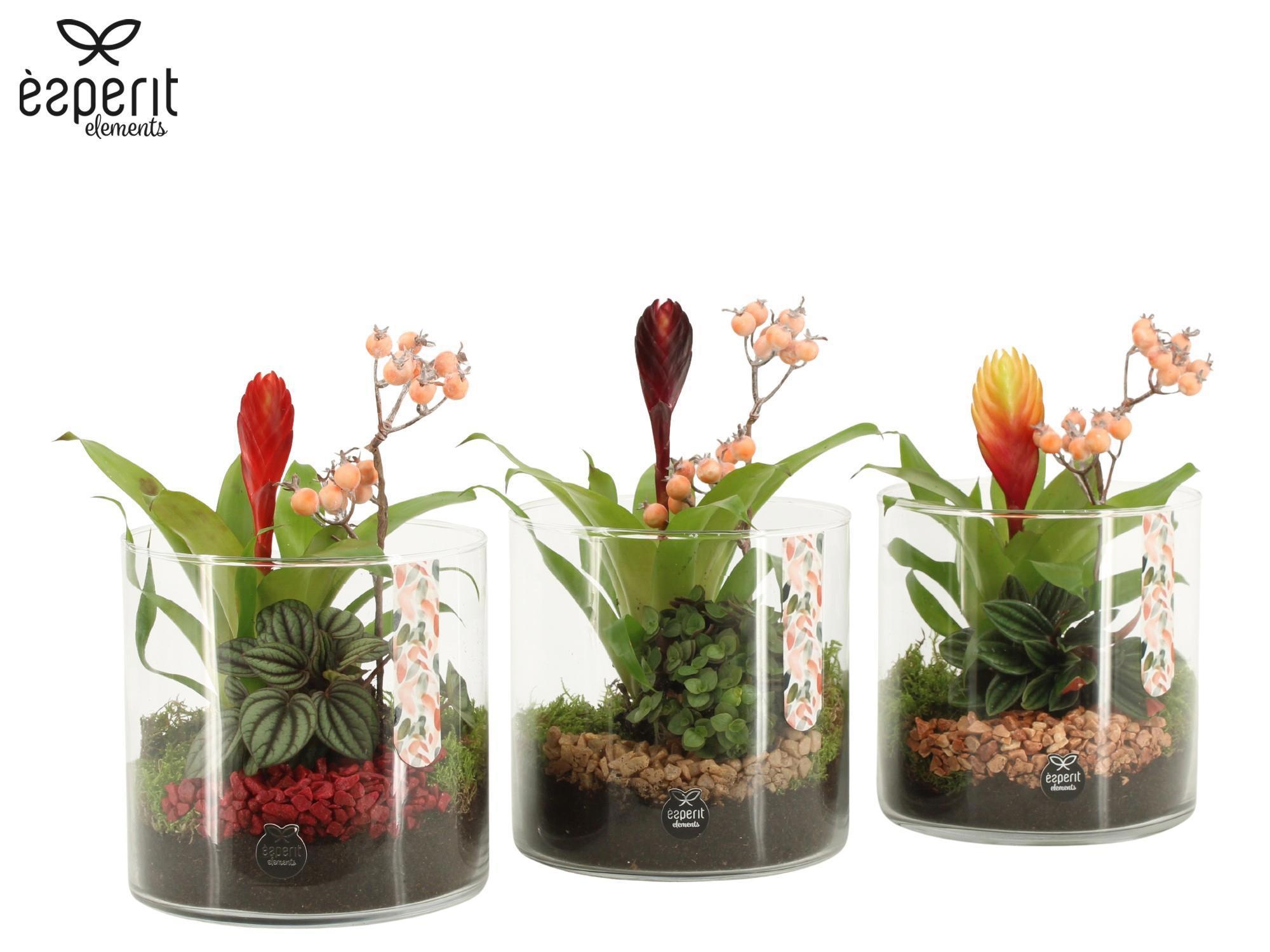 41791: Recreate arrangement, D 15