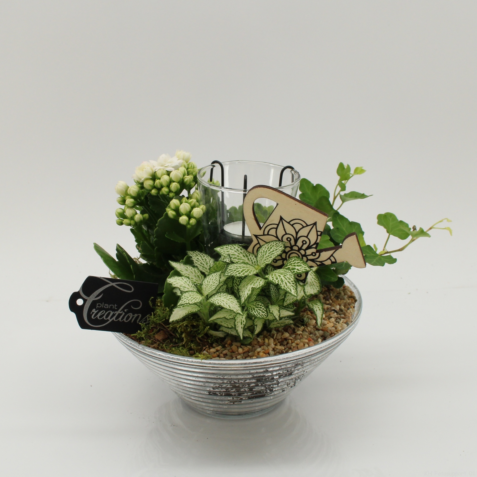 FDCR-2603W Basic Fundamentals, D 20