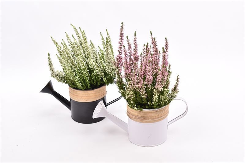 Zink Gieter Met Bamboo 10cm, D 10 cm Zink Gieter Met Bamboo 10cm, D 10 cm