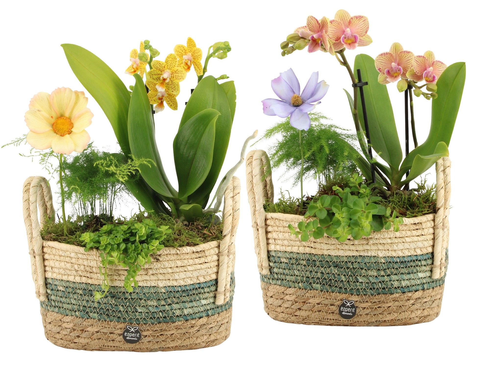 11600: Consideration arrangement, D 23 cm